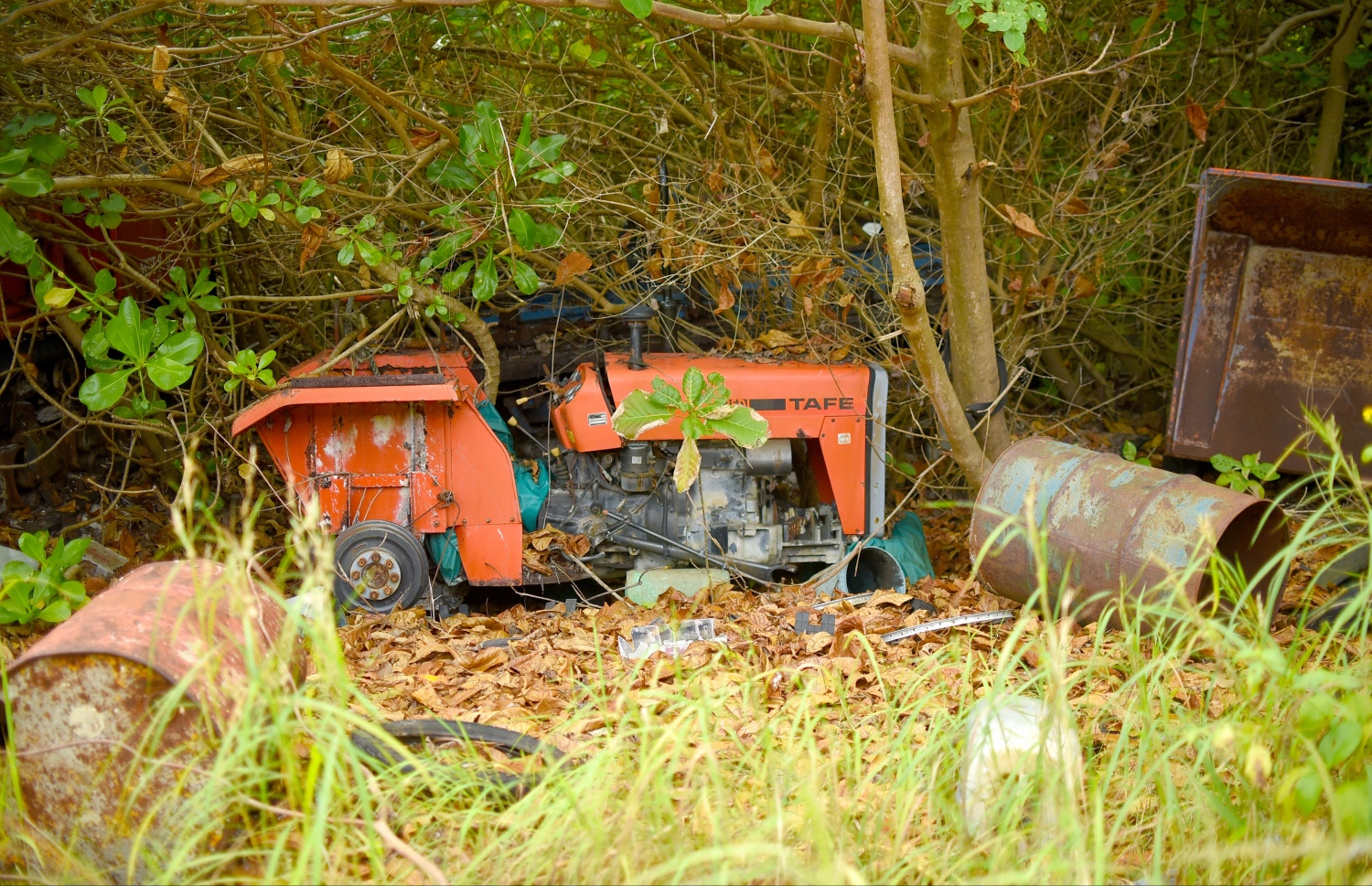 ސިޓީ ހޮޓާ އަޅަން ޚާއްސަ ކުރި ސަރަހައްދުން ފެންނަނީ މުޅިން ވެސް މި ކަހަލަ މަންޒަރުތައް --ފޮޓޯ: އަބްދުﷲ އައުރާފް/މިހާރު