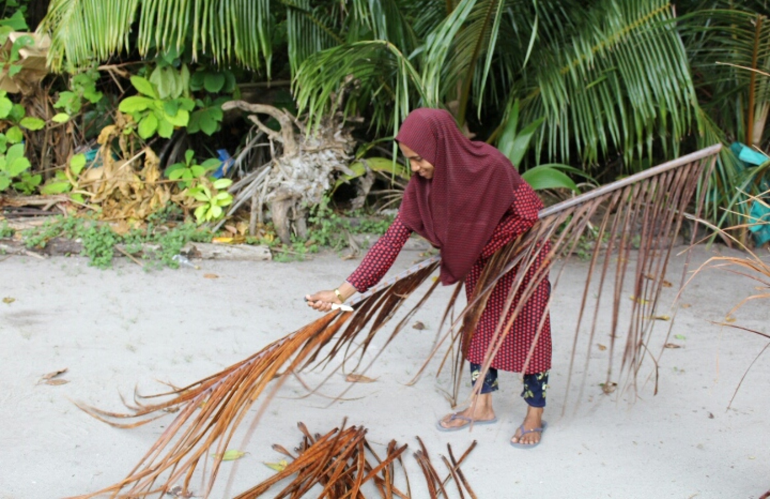 ފަންގި ވިންނަން ނިޔާޒާ ތައްޔާރުވަނީ: އެހެން މީހެއްގެ އެހީއަކަށް ބެލުމެއް ނެތް --ފޮޓޯ: އަހްމަދު އަޝްރަފް
