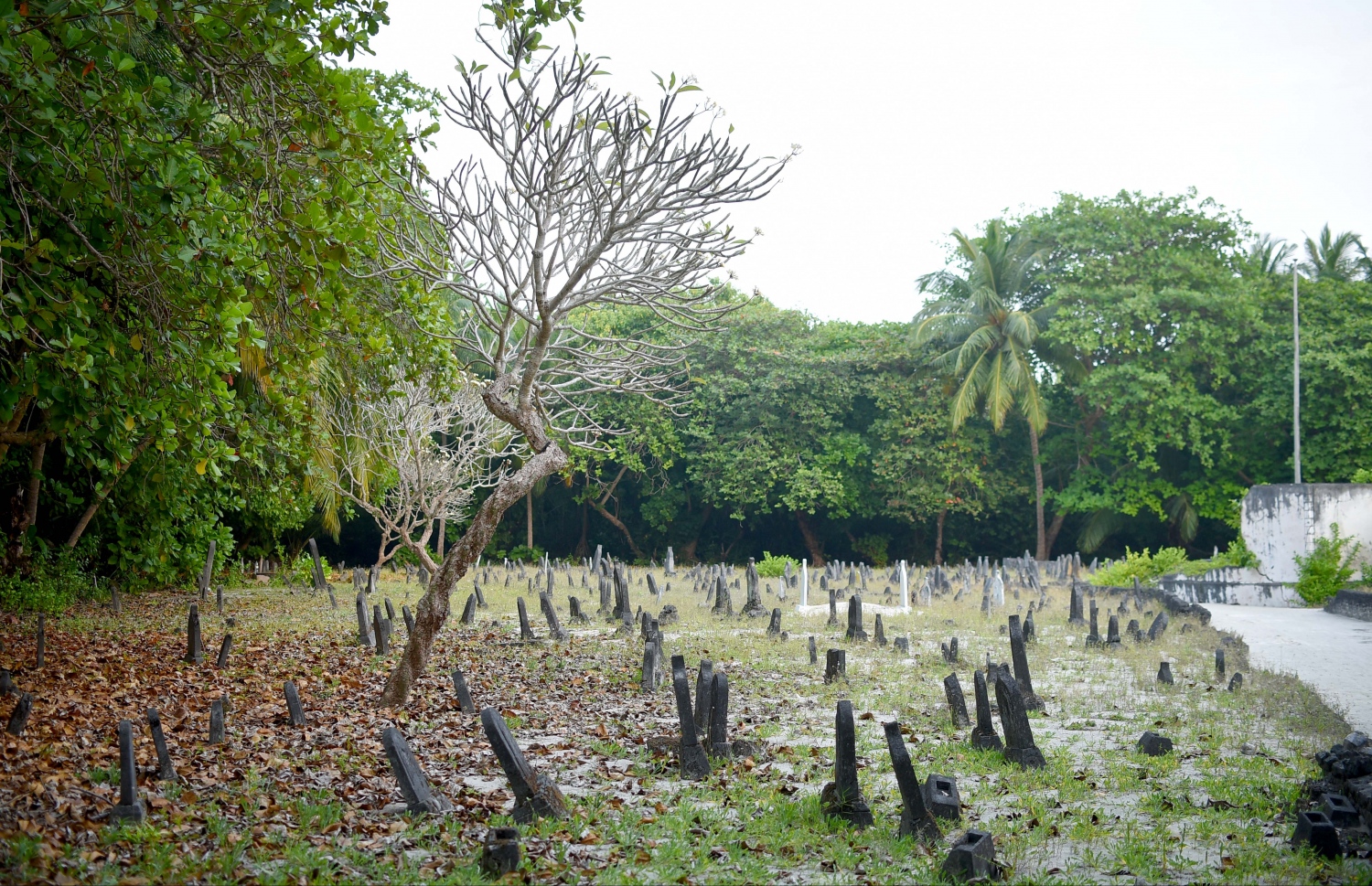 ފައިލޭރިޔާ ޖެހުނު މީހުން އުޅުނީ މި ގަބުރުސްތާނު ކައިރީގައި، މިހާރު ބޯކޮށް ވާހެދިފައި އޮތް ސަރަހައްދެއްގައި