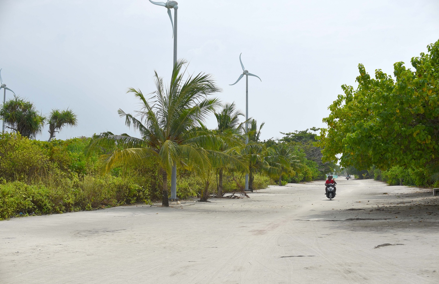 ހއ. އުލިގަމު ބޮޑުމަގު އަދި އެ ރަށުގައި ޖަހާފައި ހުރި ވިންޑްމިލްތަކެއް. -- ފޮޓޯ: އަބްދުﷲ އައުރާފް/މިހާރު