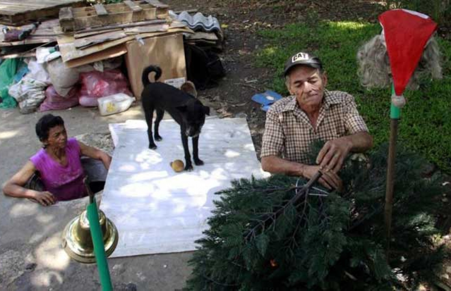 މާރިއާ ނަޖިސް ހޮޅީގެ ތެރޭގައި ހުރިއިރު މިގުއަލް ބޭރު މަގުމަތީގައި