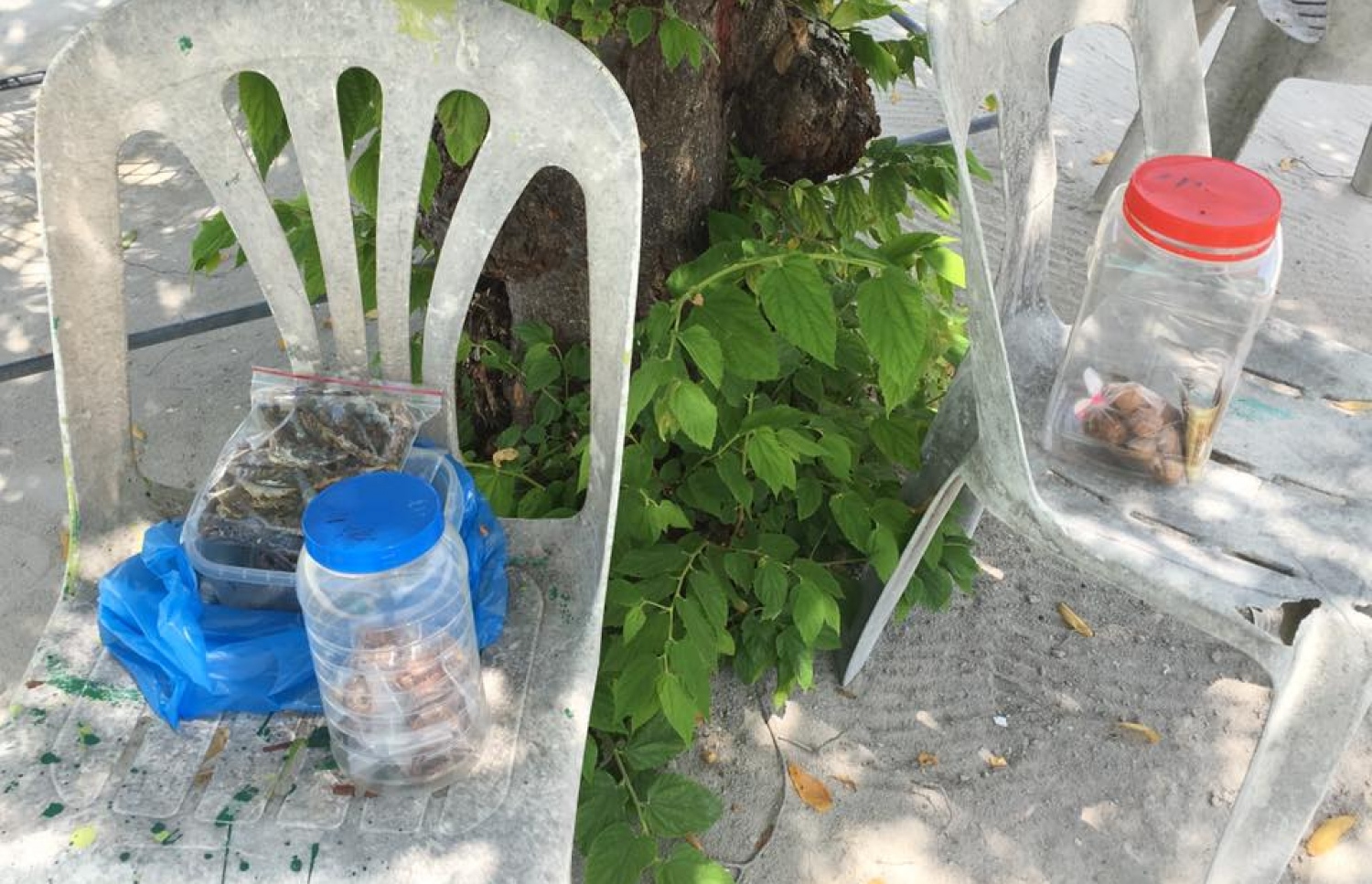 ހިތާދޫ މަގެއްގެ މަތީގައި އެއްޗެހި ވިއްކަން ބަހައްޓާފައި: މިތަން ބަލަހައްޓާކަށް މީހަކު ނުހުރޭ--ފޮޓޯ: ލޫކަސް ޖަލީލު