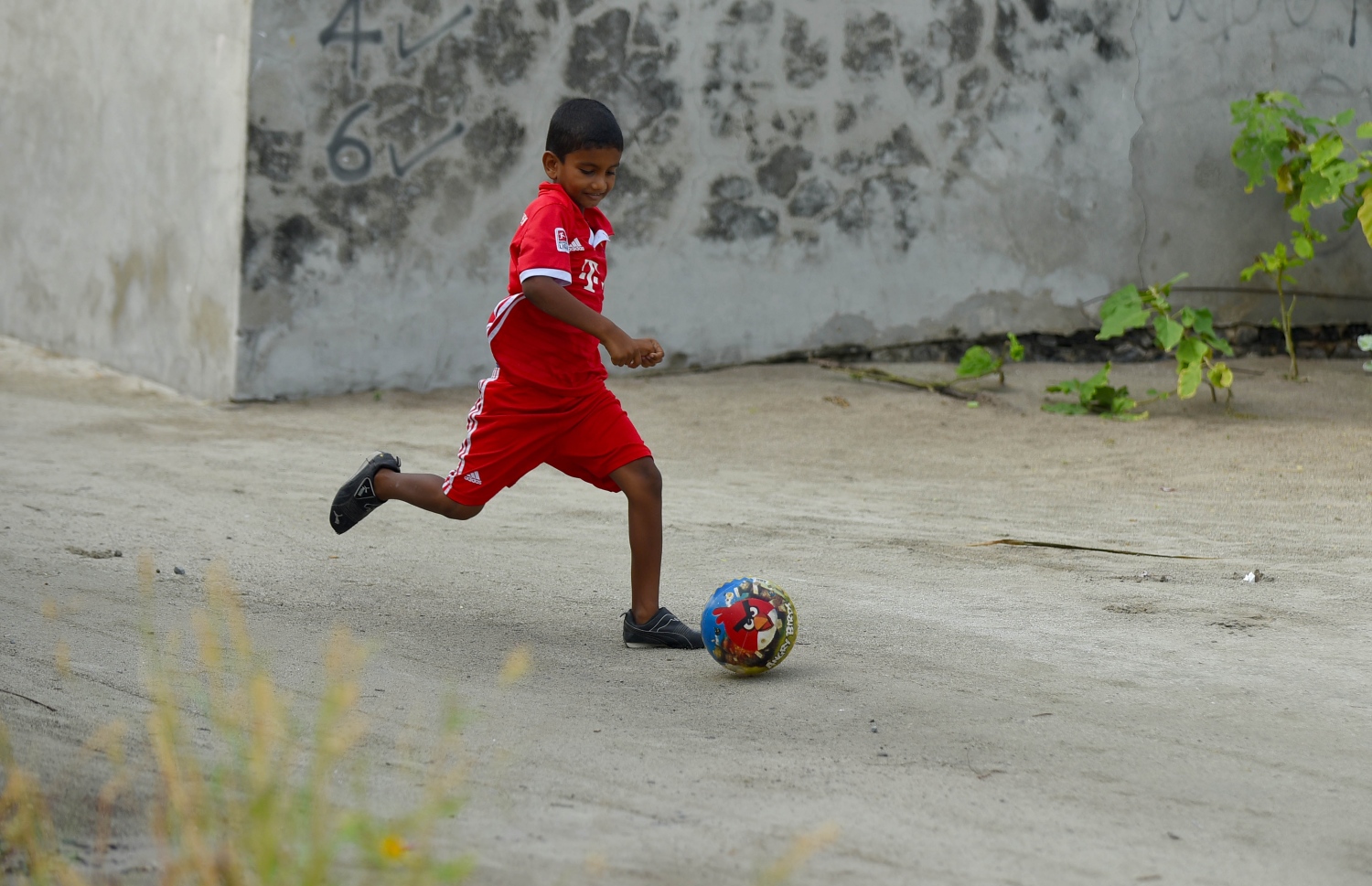 ހއ. ހޯރަފުށީގައި މަގުމަތީގައި ކުޅެން އުޅުނު ކުއްޖަކު، އެހެން ކުއްޖަކާ ދިމާލަށް ބޯޅަ ޖަހަނީ. -- ފޮޓޯ: އަބްދުﷲ އައުރާފް/މިހާރު