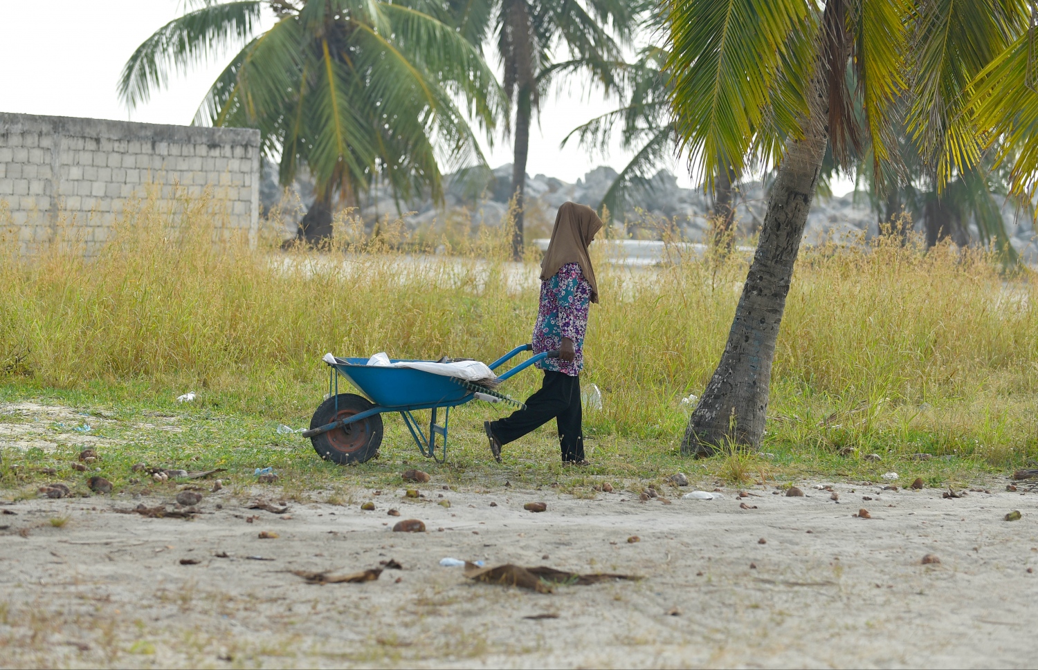 ހއ. ހޯރަފުށީގައި އަންހެނަކު ބަރޯއަކަށް އެއްޗެހިތަކެއް އަޅައިގެން ދަނީ. -- ފޮޓޯ: އަބްދުﷲ އައުރާފް/މިހާރު
