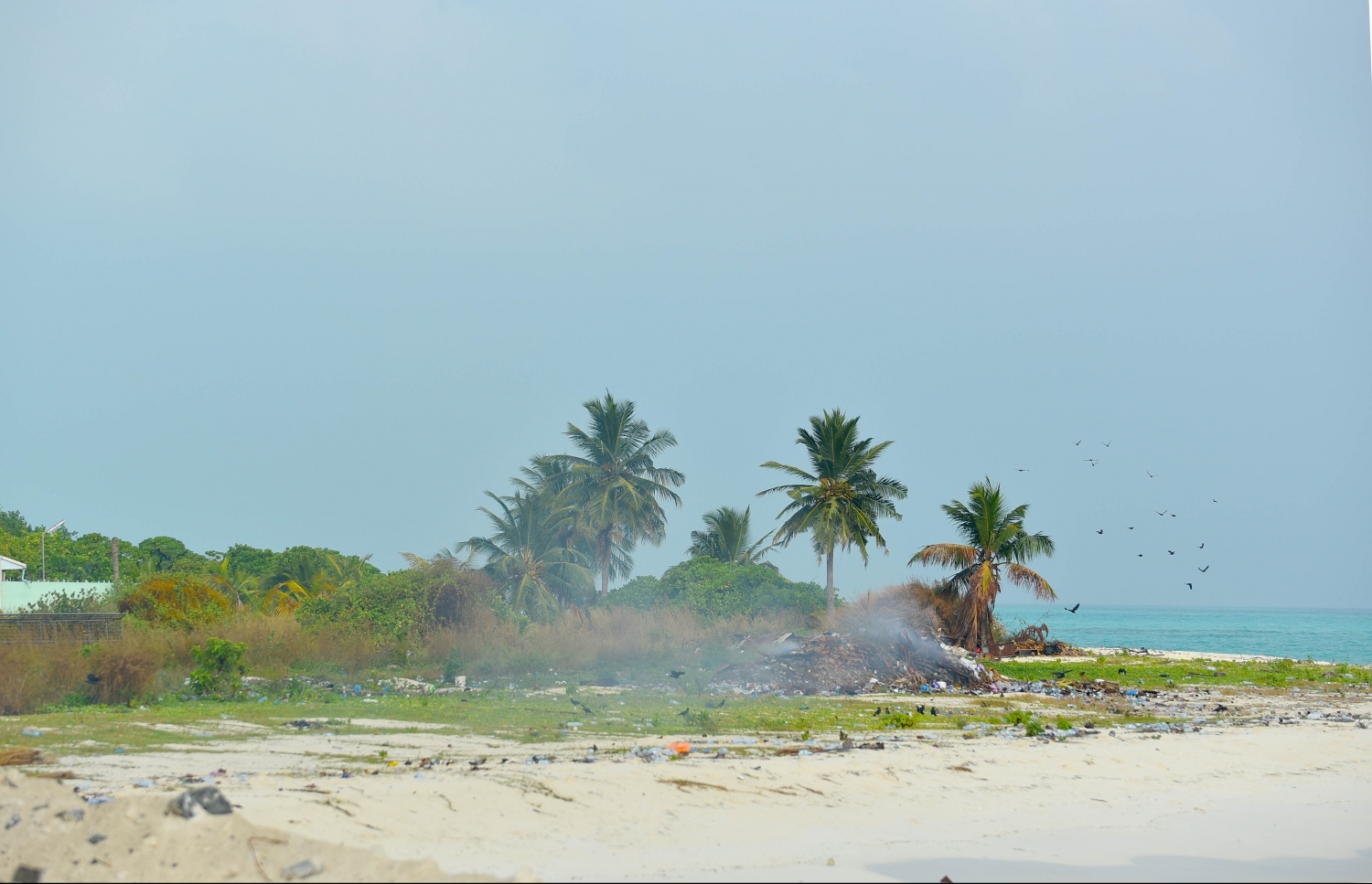ހއ. ހޯރަފުށީގައި ކުނި އުކާލުމަށް ހާއްސަކޮށްފައިވާ ސަރަހައްދެއްގައި ހުރި ކުނިތަކެއް އަންދަނީ. -- ފޮޓޯ: އަބްދުﷲ އައުރާފް/މިހާރު
