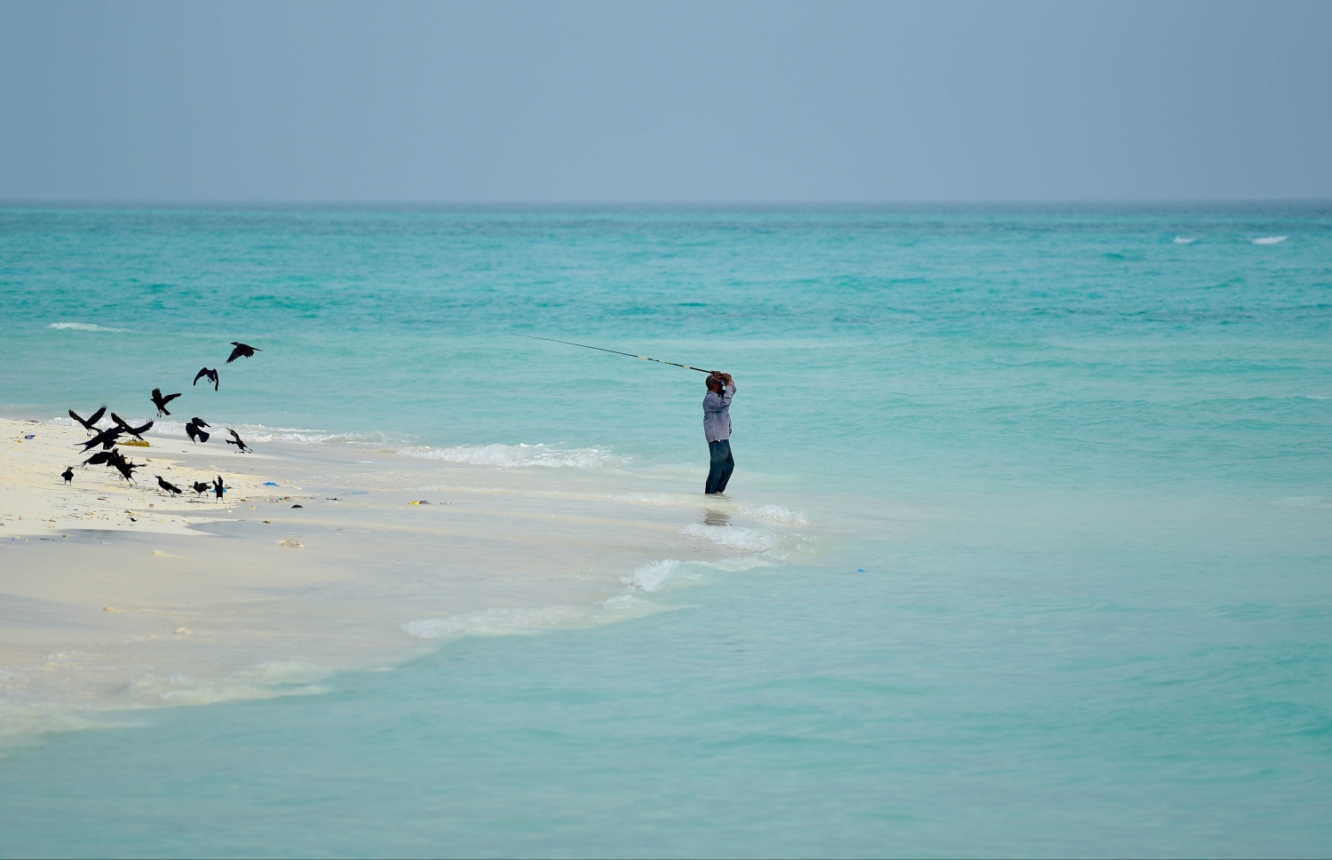 ލެފުން: ހއ. ހޯރަފުށި