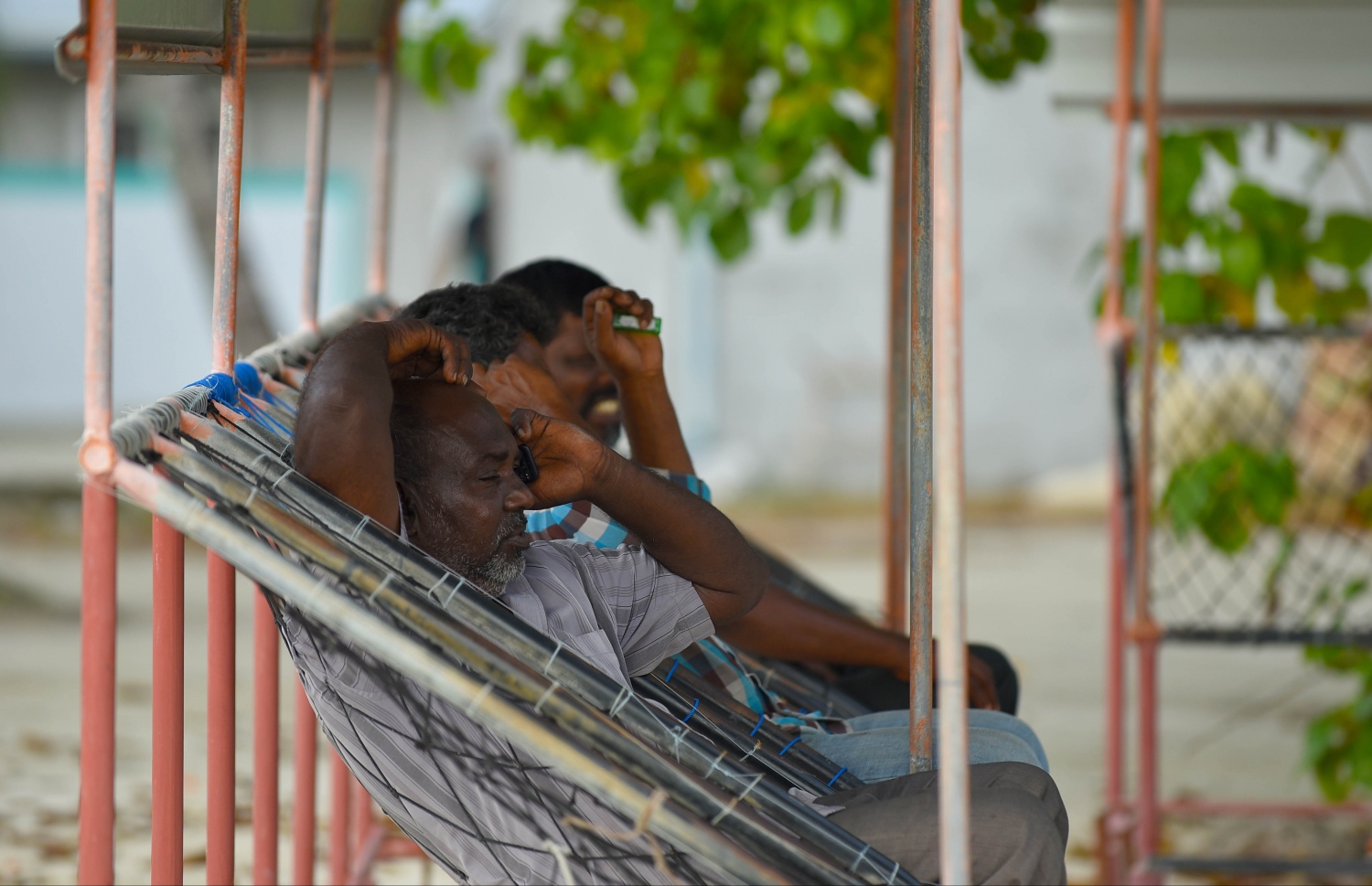 ހއ. ހޯރަފުށީ ބަނދަރުމަތީ ބަހައްޓާފައި ހުރި ޖޯލި ފައްޗެއްގައި ބަޔަކު އޮށޯވެލައިގެން. -- ފޮޓޯ: އަބްދުﷲ އައުރާފް/މިހާރު