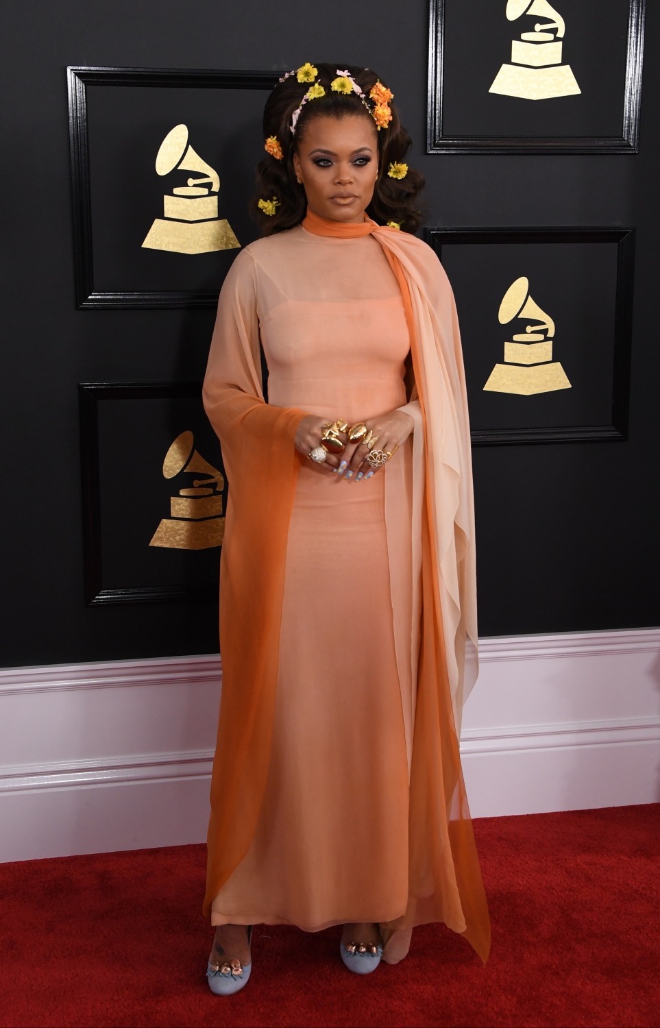 ލޮސް އެޖެލިސް، ކެލިފޯނިއާ: ފެބްރުއަރީ 12، 2017: ގްރެމީ އެވޯޑްސް ހަފްލާގައި ލަވަކިޔުންތެރިޔާ އެންޑަރާ ޑޭ ބައިވެރިވަނީ.-- ފޮޓޯ: އޭއެފްޕީ