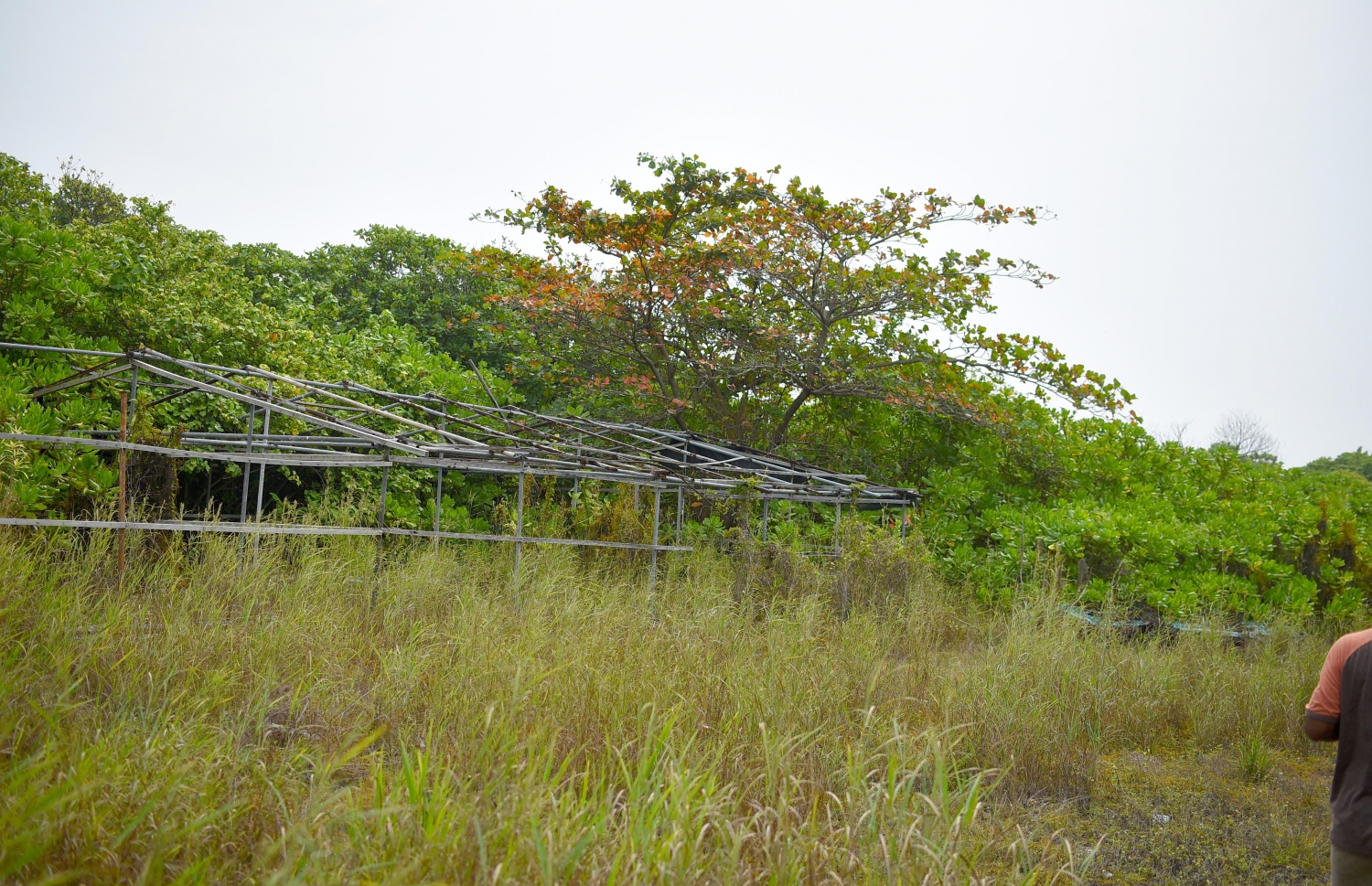 ހއ. އުލިގަމުގައި އެމްޓީޑީސީން ސިޓީ ހޮޓަލެއް ތަރައްގީކުރުމަށް ކަނޑައެޅި ބިމުގައި މަސައްކަތް ހުއްޓި އެ ސަރަހައްދުގައި ވަލަކަށް ވެފައި. -- ފޮޓޯ: އަބްދުﷲ އައުރާފް/މިހާރު