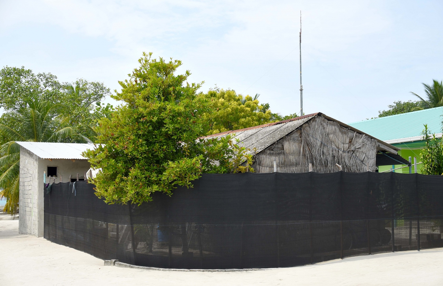 ހއ. އުލިގަމު. ރާއްޖޭގެ އެންމެ އުތުރުން ދެ ވަނަ އަށް އޮންނަ މި ރަށަކީ ބިން ބޮޑު ރަށެއް. -- ފޮޓޯ: އަބްދުﷲ އައުރާފް/މިހާރު