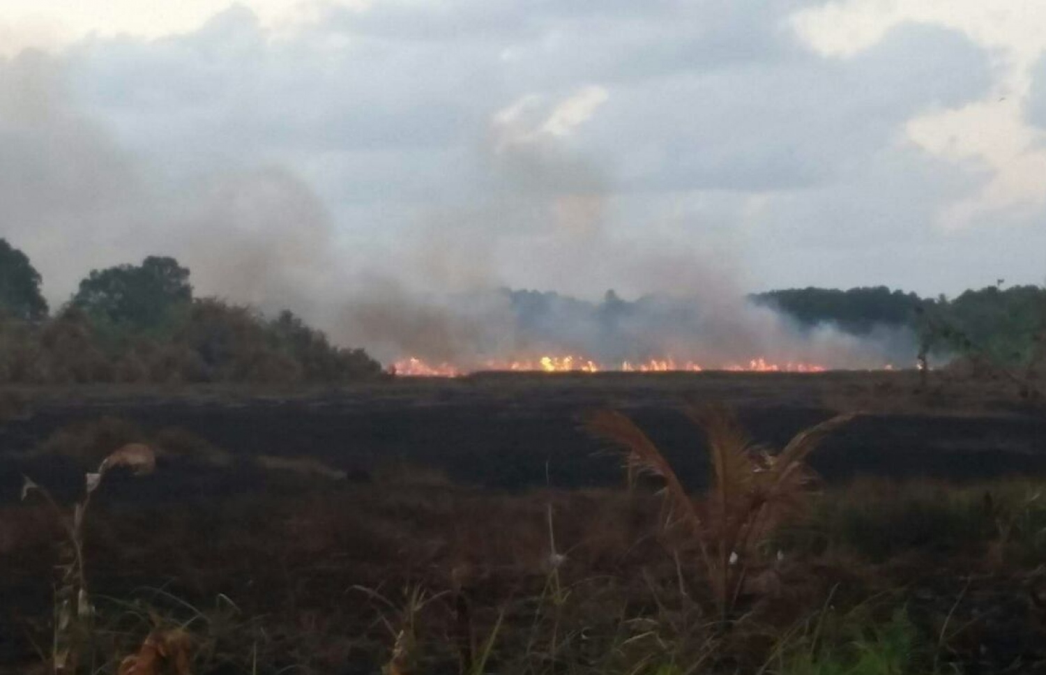 ފުވައްމުލަކު ޗަސްބިމުގައި ރޯވެ އަލިފާންގަނޑު އަނދަނީ: މިއީ އެތަނުގައި ރޯވި ތިން ވަނަ ފަހަރު