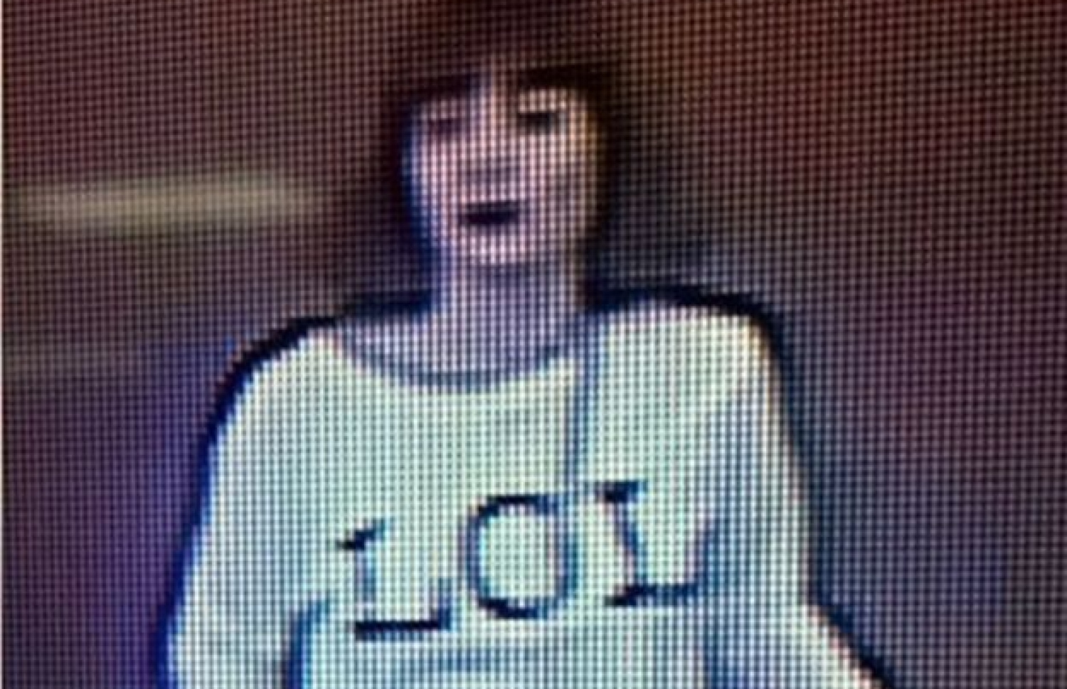 ނޯތު ކޮރެއާގެ ލީޑަރުގެ ބޭބެ މަރާލުމުގެ ތުހުމަތުގައި ހައްޔަރު ކުރި އަންހެން މީހާ.