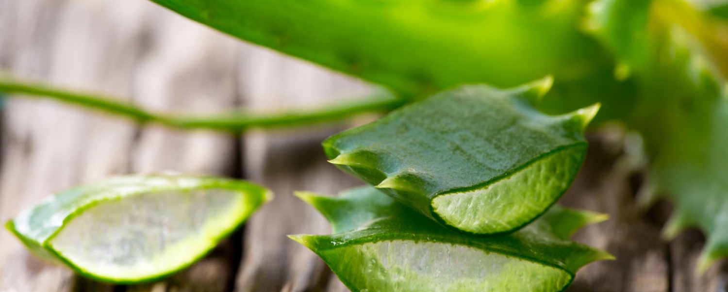 އަލޯ ވެރާ ފަތް