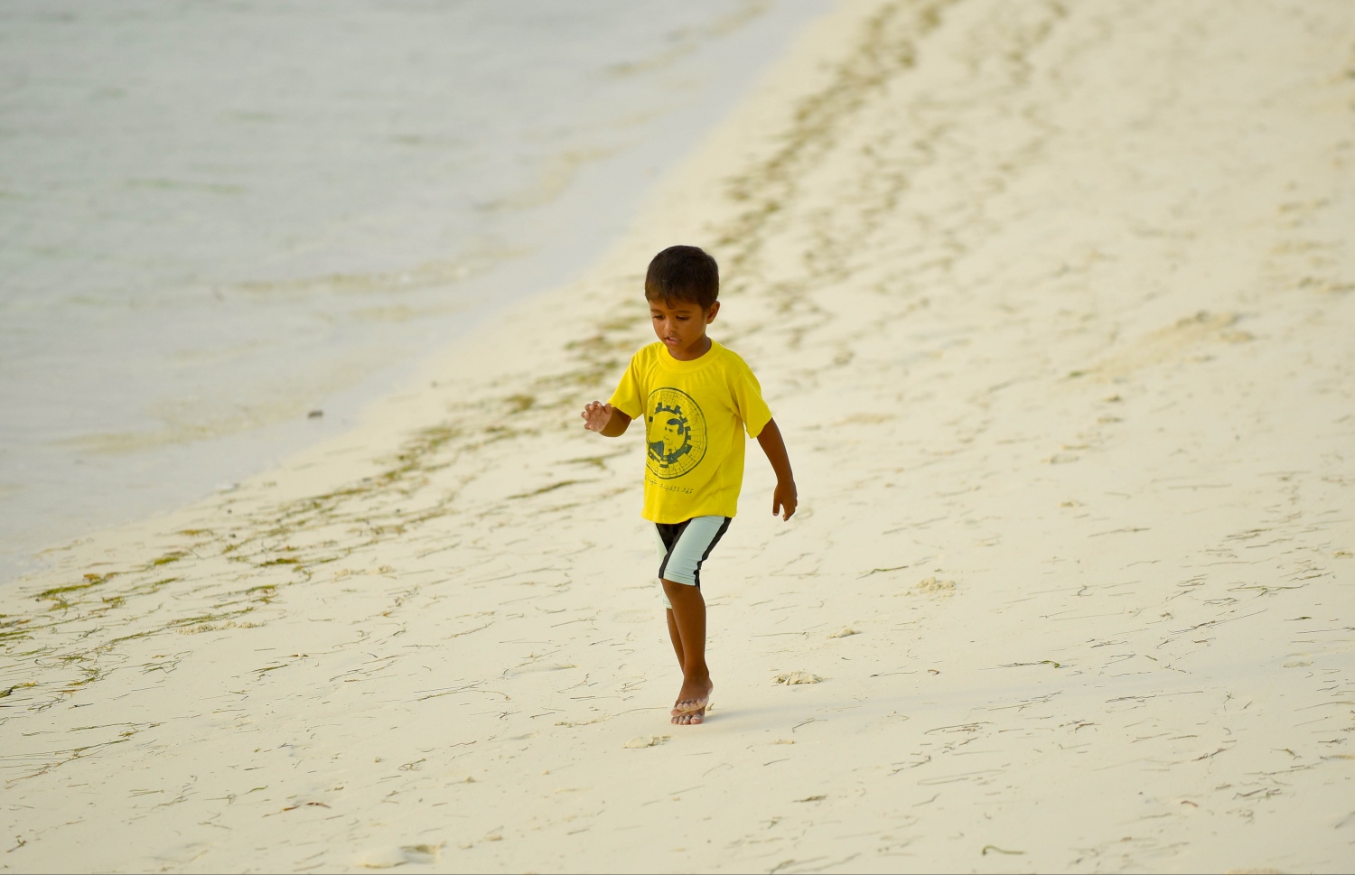 ހއ. މޮޅަދޫގައި ކުޑަ ކުއްޖަކު ގޮނޑުދޮށުން ހިނގާފައި އަންނަނީ. މިއީ ގޮނޑުދޮށާއި މޫދު ރީތި ރަށެއް. -- ފޮޓޯ: އަބްދުﷲ އައުރާފް/މިހާރު