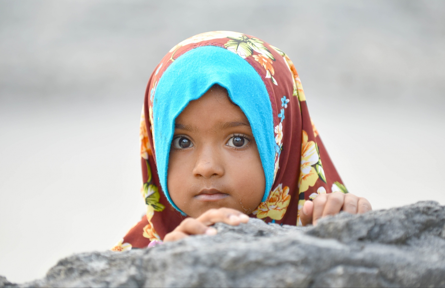 ހއ. މޮޅަދޫގައި ކުޑަ އަންހެން ކުއްޖަކު ފޮޓޯ ނަގާތީ ކެމެރާއަށް ބަލަހައްޓައިގެން. -- ފޮޓޯ: އަބްދުﷲ އައުރާފް/މިހާރު