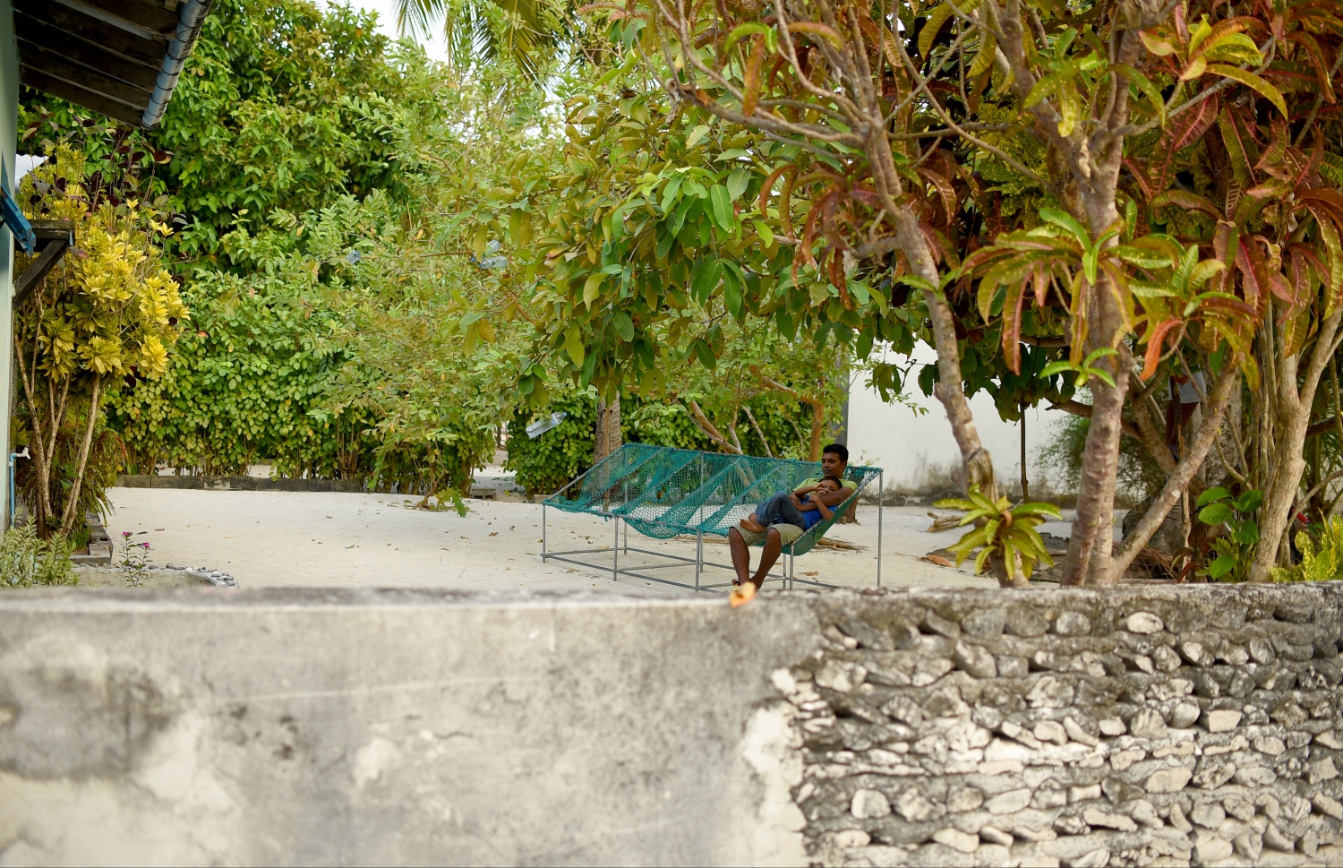 ހއ. މޮޅަދޫގައި ގެއެއްގެ ގޯތި ތެރޭގައި ހުރި ޖޯލިފައްޗެއްގައި މީހަކު ކުޑަ ކުއްޖަކާ އެކު އޮށޯވެލައިގެން. -- ފޮޓޯ: އަބްދުﷲ އައުރާފް/މިހާރު