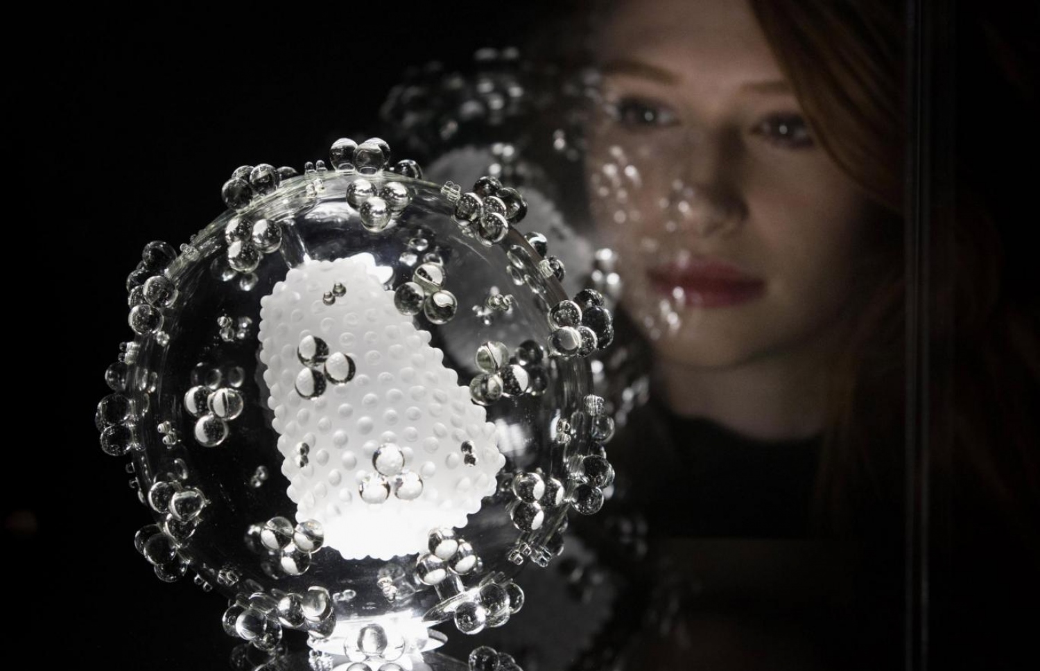 އެޗްއައިވީ ވައިރަސް އިންނަ ގޮތް ބިއްލޫރިން ތައްޔާރުކޮށްފައި