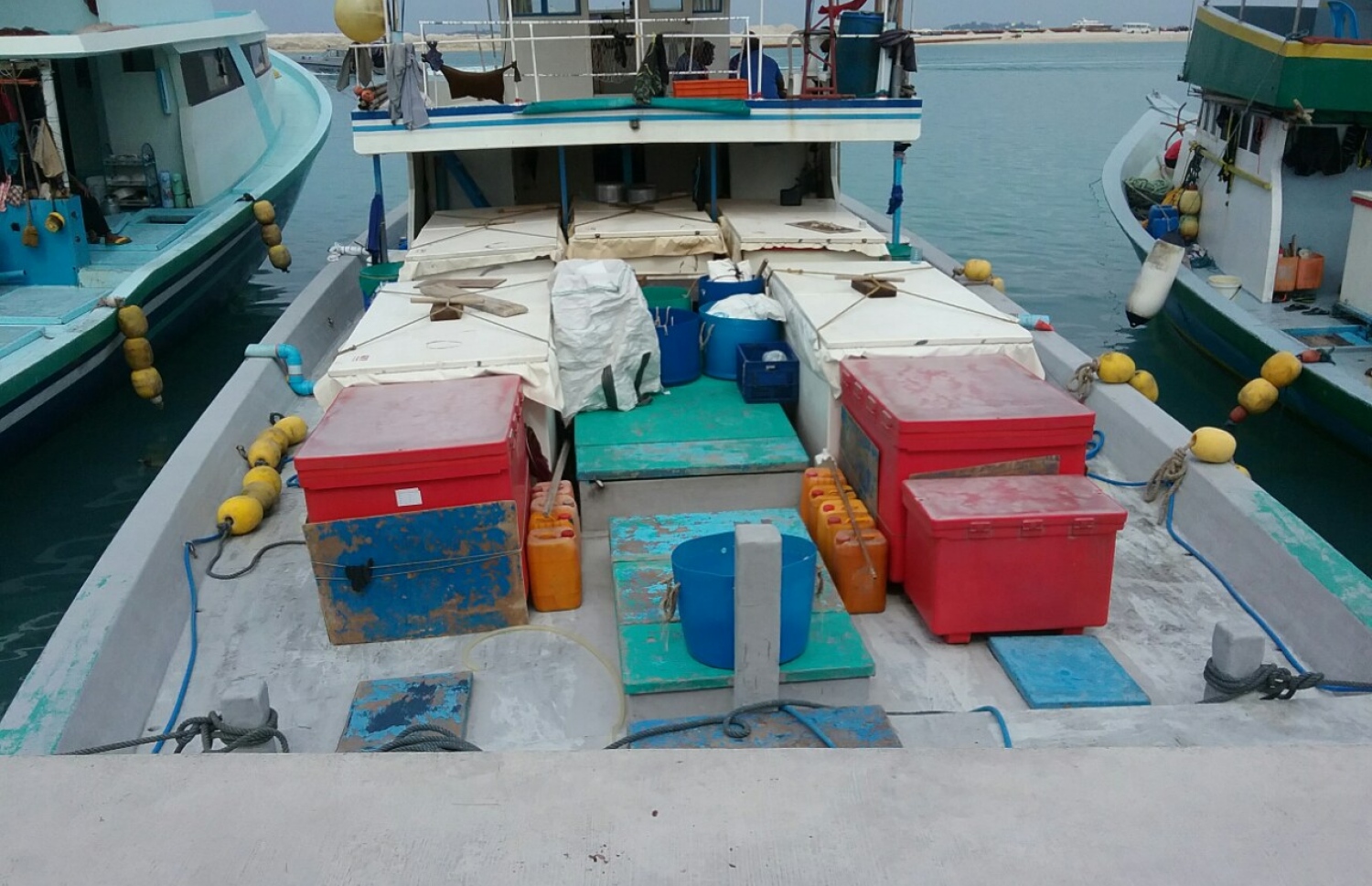 މަހަށް ނުކުމެ އުޅެނިކޮށް ޚަބަރެއް ނުވެގެން ހޯދަމުން ދިޔަ ބްލޫ ފިޝް ދޯނި މިއަދު މަސް ކިރުވަން ހުޅުމާލޭ ފަޅުގައި. ފޮޓޯ މިހާރު