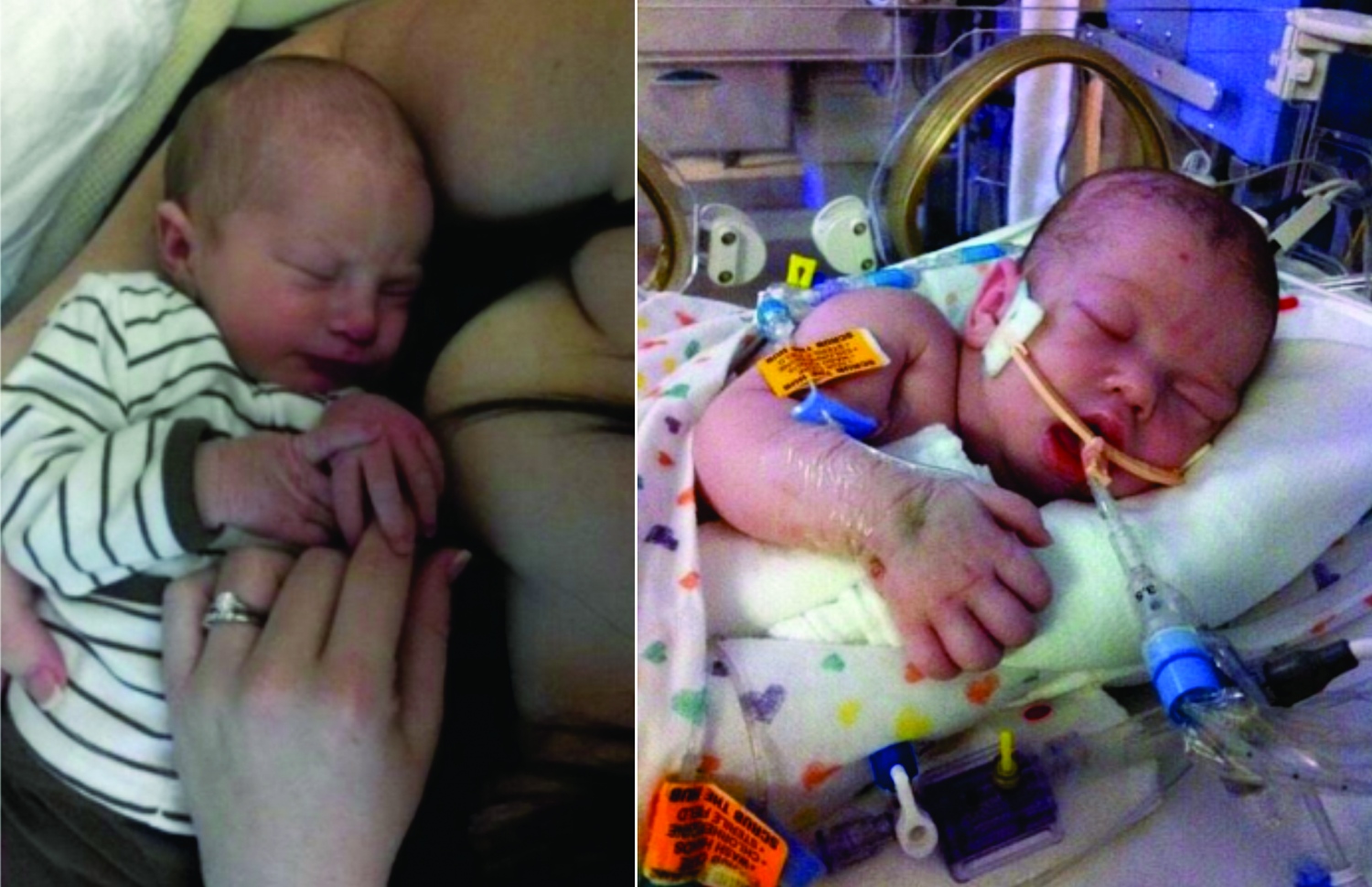 ޖިލިއަންގެ ދަރިފުޅު ވެންޓިލޭޓަރުގައި (ކ) އަދި އޭނާ އުރާލައިގެން