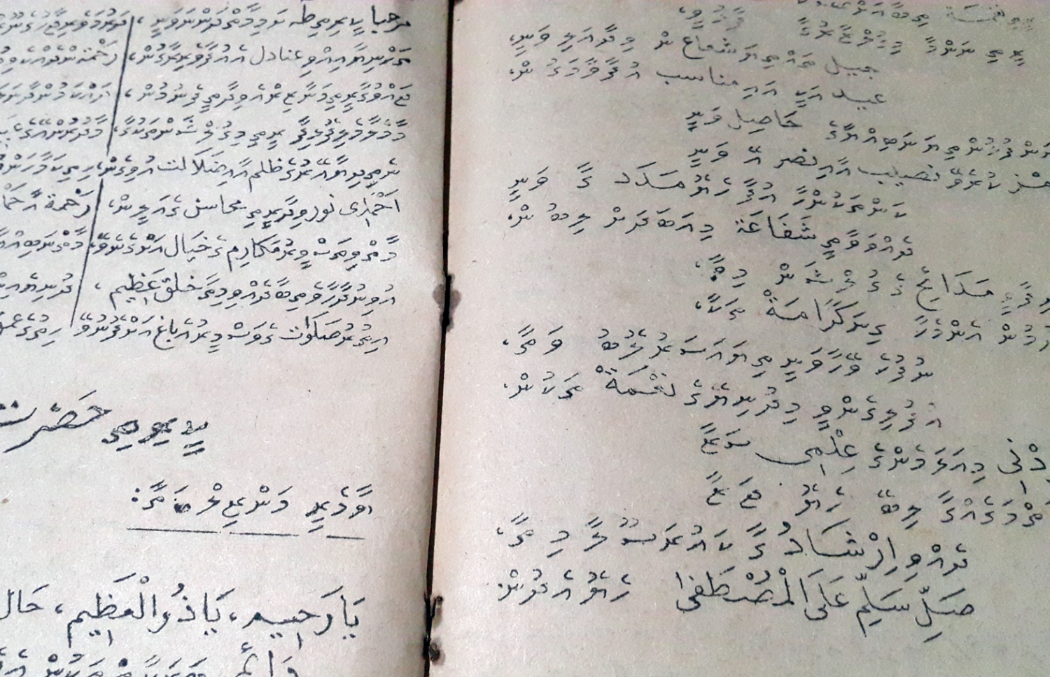ރިޒާ ހައްދަވާފައިވާ މާލޫދު ފޮތެއްގެ ސޮފުހާއެއް