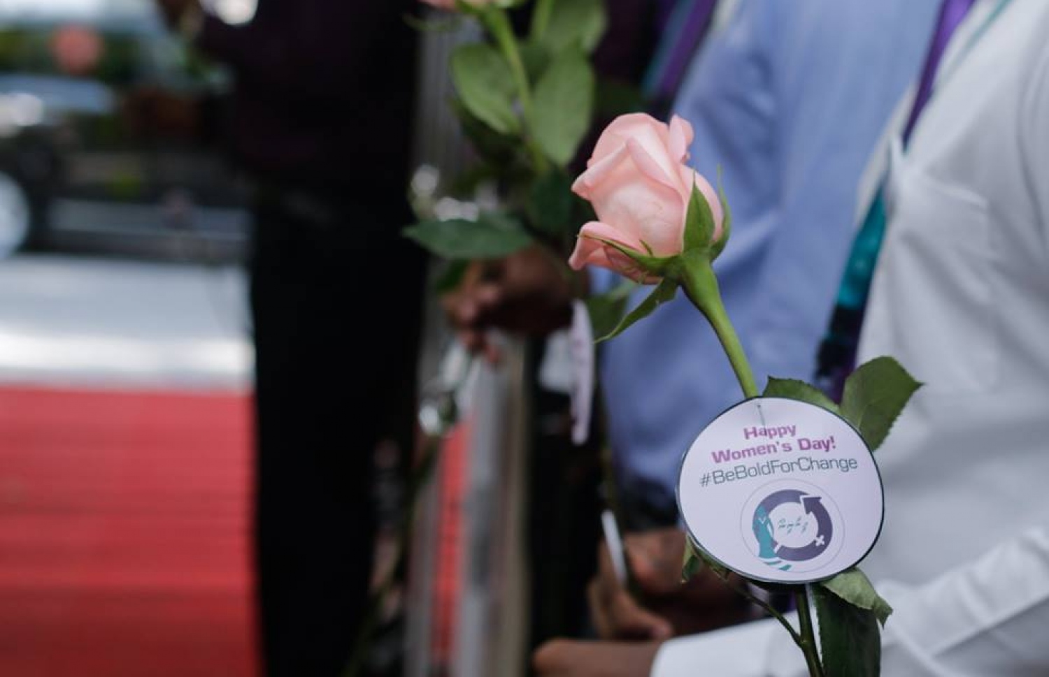 މާލެ: މާޗް 8، 2017: ބައިނަލް އަގްވާމީ އަންހެނުންގެ ދުވަސް ފާހަގަ ކުރުމުގެ ގޮތުން މޯލްޑިވްސް އިންލެންޑް ރެވެނިއު އޮތޯރިޓީ (މީރާ)ގެ އަންހެން މުވައްޒަފުން ގައުމީ ހެދުމުގައި އޮފީހަށް ވަންނަ އިރު، ފިރިހެން މުވައްޒަފުން އެކަނބަލުންނަށް މަރުހަބާ ކިޔަނީ.-- ފޮޓޯ: މީރާ