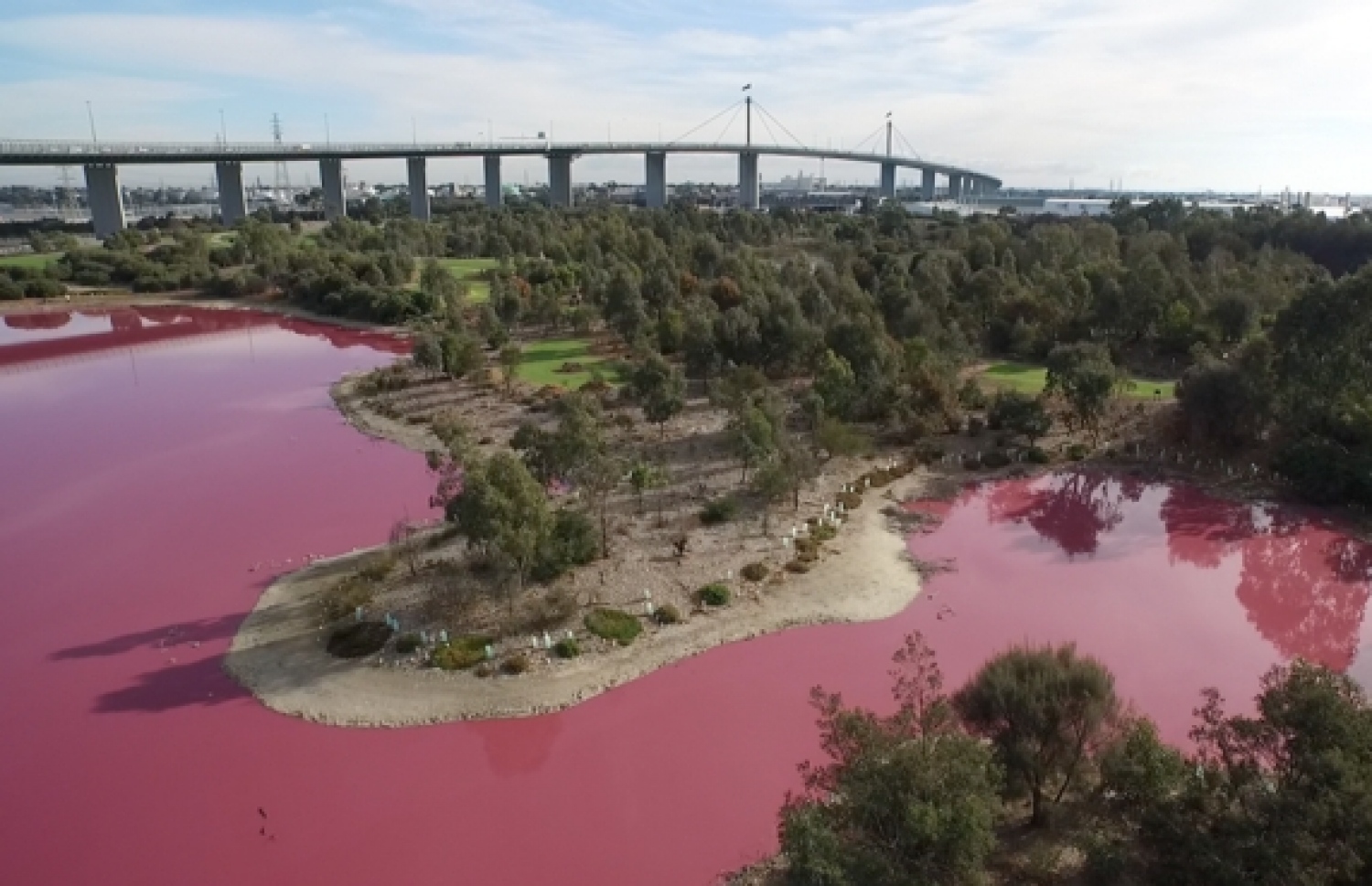 އޮސްޓްރޭލިއާގެ ކޯރެއްގެ ފެންގަނޑު ފިޔާތޮށި ކުލަ އަށް ބަދަލުވީ ވާރޭ ނުވެހި ގިނަ ދުވަސްވެގެން ކަމަށް އޮފިޝަލުން ބުނޭ.