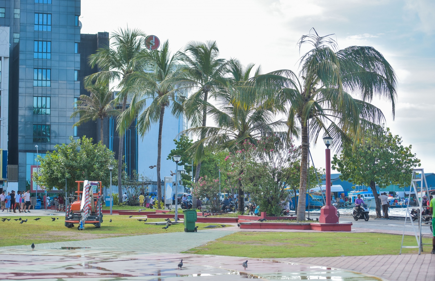 މާލެ: މާޗް 12، 2017- ސައޫދީގެ ރަސްގެފާނު ސަލްމާނަށް މަރުހަބާ ދެންނެވުމަށްޓަކައި ޖުމްހޫރީ މައިދާން ޒީނަތްތެރި ކުރުން: މިތަނުގައި ހުރި ރުއްތައް ސާފުކޮށް އަދި އާ ރުއްތަކެއް ވަނީ އިންދާފައި.---ފޮޓޯ: ހުސެއިން ވަހީދު/މިހާރު