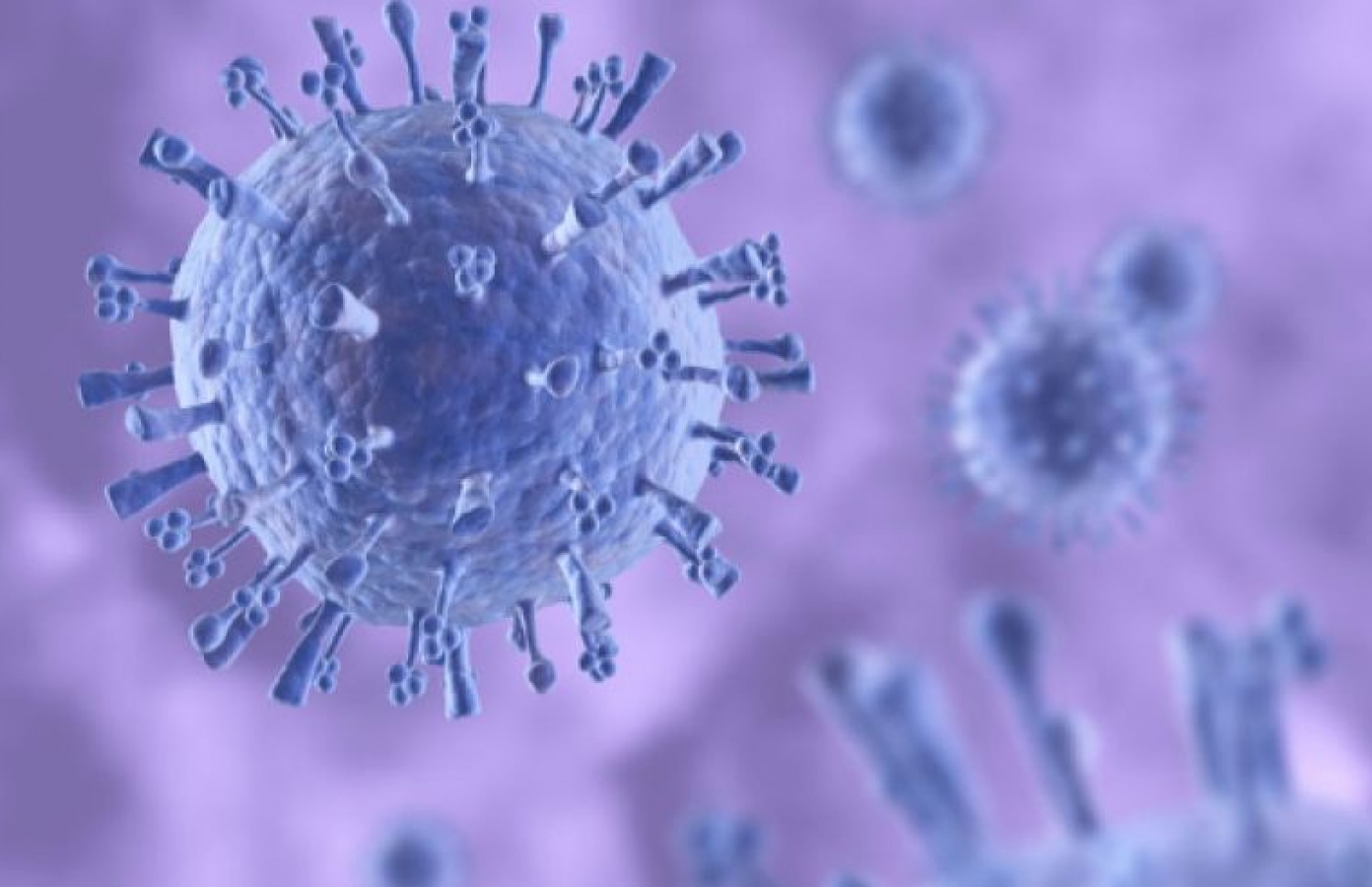 ސްވައިން ފްލޫގެ ވައިރަސް