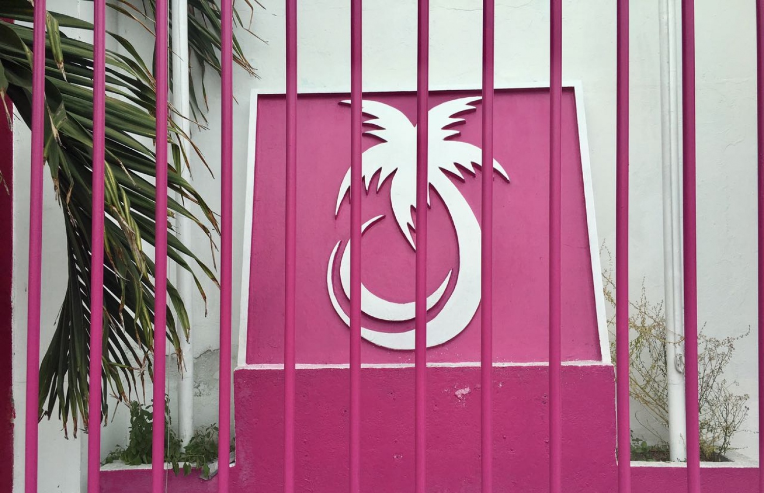 ހ. ތެމާގައި ހިންގި، ޕީޕީއެމްގެ ކުރީގެ ރައީސް މައުމޫންގެ އޮފީސް: މި އޮފީސް ޔާމީންގެ ސަޕޯޓަރުންގެ ކޮންޓްރޯލްގެ ދަށަށް ގެންދިޔަ.. -- މިހާރު ފައިލް ފޮޓޯ