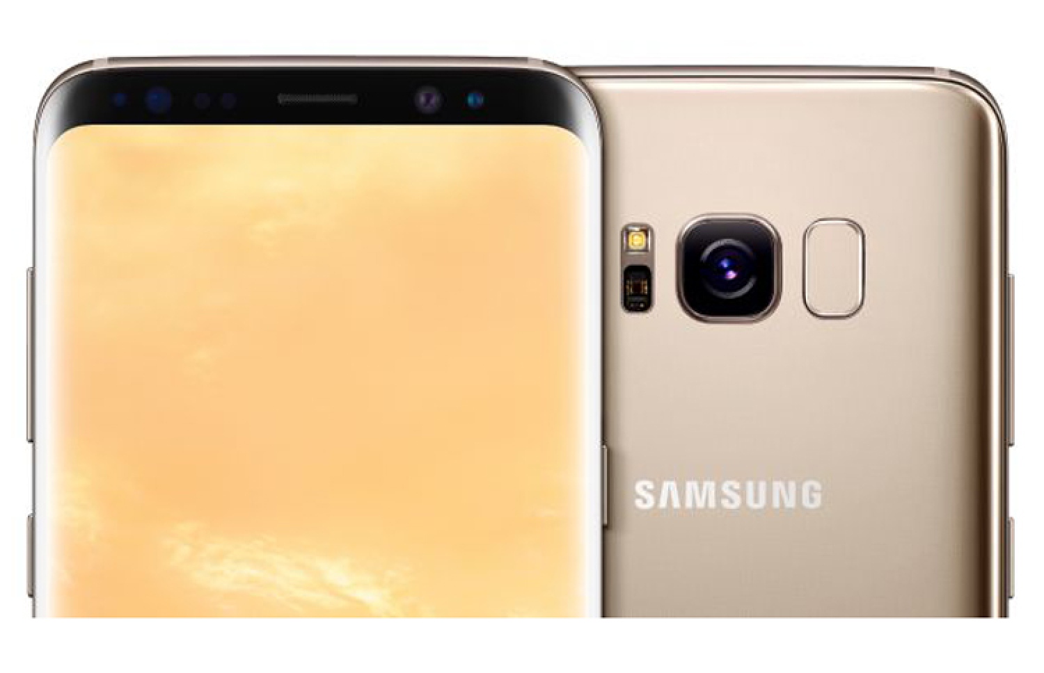 ސެމްސަންގް ގެލަކްސީ އެސް8: މެޕްލް ގޯލްޑް