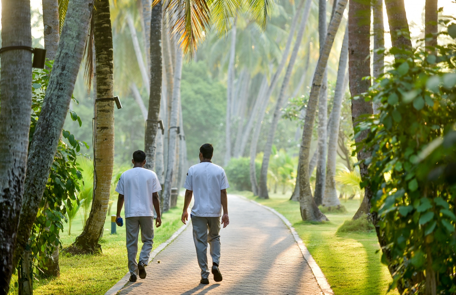 މިހާރު ލެފުން: ސަން އައިލެންޑް ރިސޯޓް