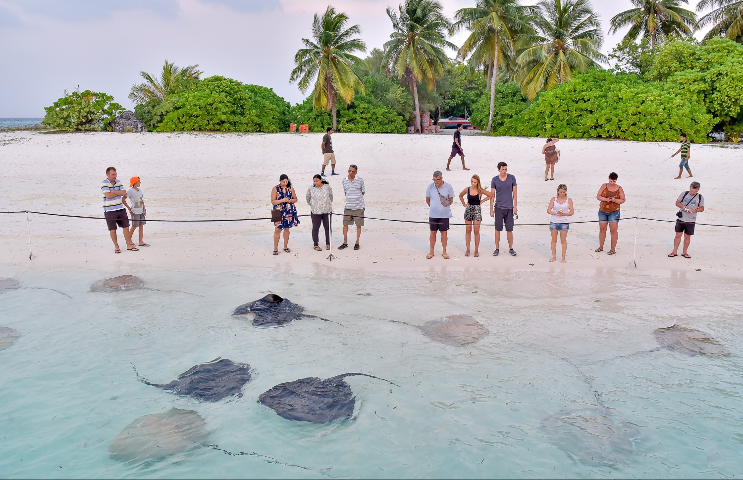 ޓޫރިސްޓުންތަކެއް މަޑިތަކެއް ބަލަނީ: އަލުން ރާއްޖޭގެ ޓޫރިޒަމް ހުޅުވާލަނީ އަންނަ މަހު -- ފޮޓޯ/މިހާރު