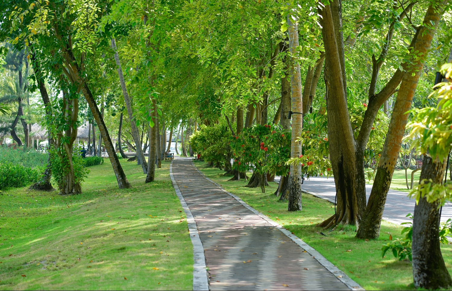 ސަން އައިލެންޑް: މާޗު 5، 2017: ރިސޯޓުގެ ފެހި ސަރަހައްދު: ވަރަށް ހިމޭންކޮށް އޮންނަ މި ސަރަހައްދަކީ، މި ރިސޯޓަށް އަންނަ ޓޫރިސްޓުންނަށް އެންމެ ހިތްގައިމު އެއް ސަރަހައްދު -- ފޮޓޯ: ނިޝާން އަލީ/ މިހާރު