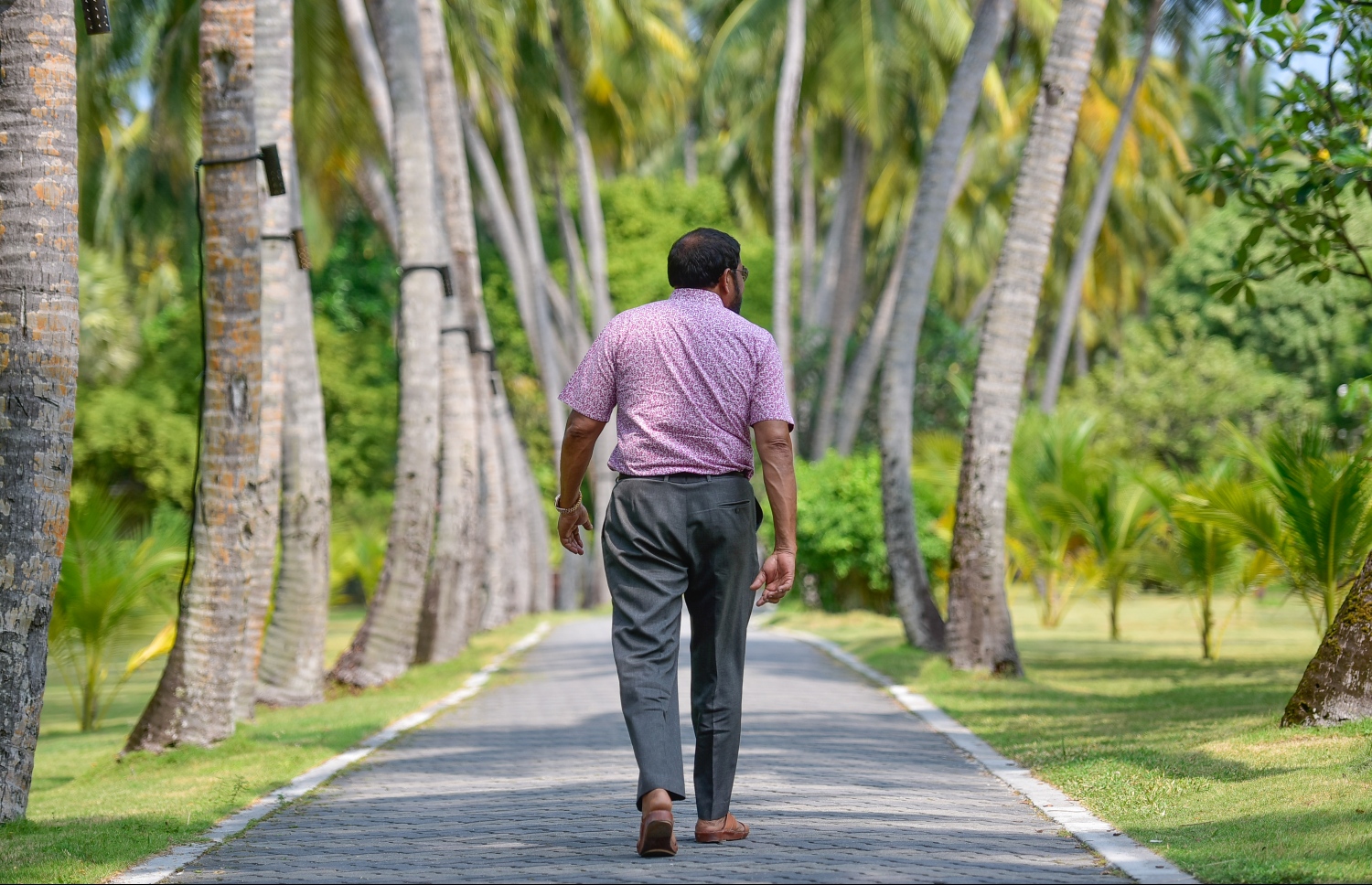 ސަން އައިލެންޑް ރިސޯޓް، މާޗް 5، 2017: ރިސޯޓްގެ އޯނަރު ގާސިމް އިބްރާހިމް އެ ރިސޯޓުގެ ރީތި މަގަކުން ހިންގަވާފައި ވަޑައިގަންނަވަނީ. އެހެން ހަތަރު ރިސޯޓެއް ވެސް ހިންގަވާ ގާސިމްގެ ސަން އައިލެންޑަކީ އޭނާ އަށް ވަރަށް ޚާއްސަ ރިސޯޓެއް -- ފޮޓޯ: ނިޝާން އަލީ/ މިހާރު