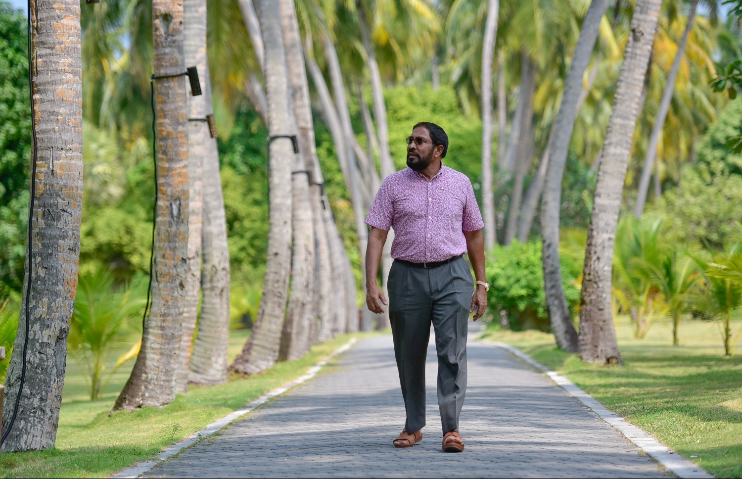 މާޗް 5، 2017- ވިލާގެ ޗެއާމަން ގާސިމް އޭނާގެ ސަން އައިލެންޑް ރިސޯޓުގެ މަގެއްގެ ދެ ފަރާތުގައި ހައްދާފައިވާ ރުށްތައް "މިހާރު"ގެ ނޫސްވެރިންނަށް ދައްކާލައްވަނީ.---މިހާރު ފޮޓޯ: ނިޝާން އަލީ