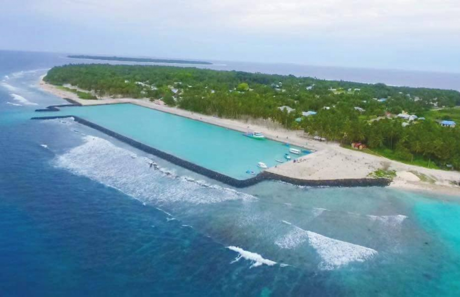 ވައިކަރަދޫ ބަނދަރު: ބަނދަރުގެ ތެރޭގައި އޮޔާއި ފެން ދައުރު ނުވުމުން އޮކްސިޖަން ލެވެލް ދައްވެ، މަސް މަރުވާ ގޮތްވޭ- ފޮޓޯ/ ފޭސްބުކް