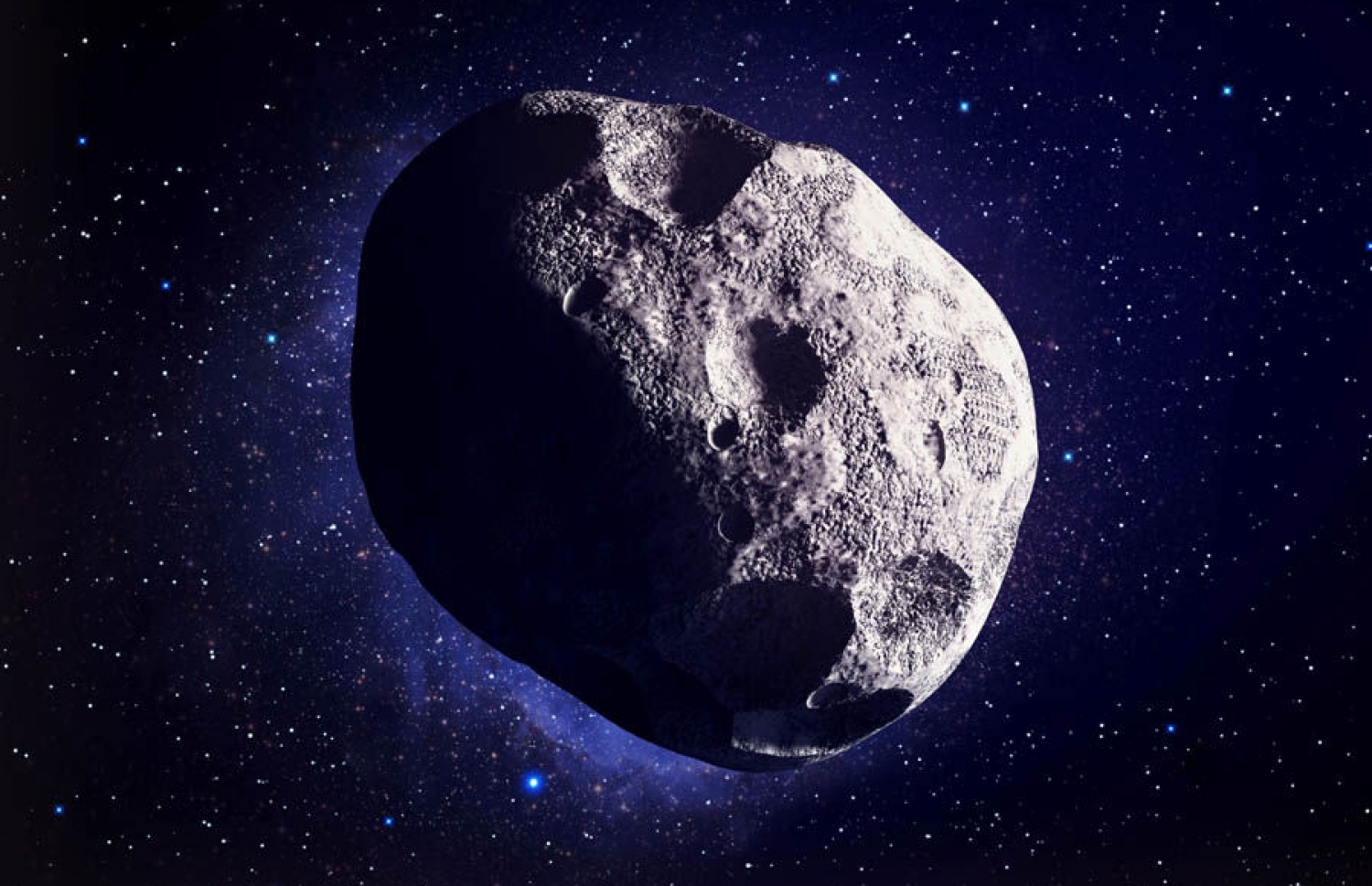 ގިނިހިލައެއް: އިރު ވަށައި މި ޒާތުގެ އެތައް ގިނިހިލައެއް ދަތުރުކުރޭ. ބައެއް ގިނިހިލަ އިރަށް ދަމައިގަނެ އަދި ދުނިޔޭގެ ވައިގެ ފަށަލާގައި ޖެހި އަނދައި ހުލިވޭ