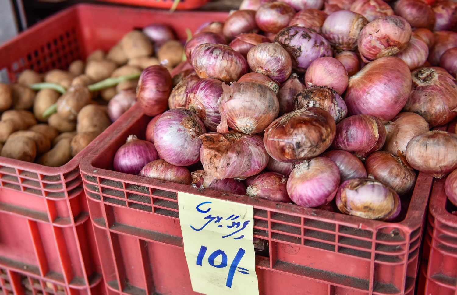 މާލެ: މޭ 17، 2017- ބާޒާރުމަތީގެ ފިހާރައެއްގައި ވިއްކަން ބަހައްޓާފައި ހުރި ފިޔާތަކެއް.--- ފޮޓޯ: ނިޝާން އަލީ /މިހާރު