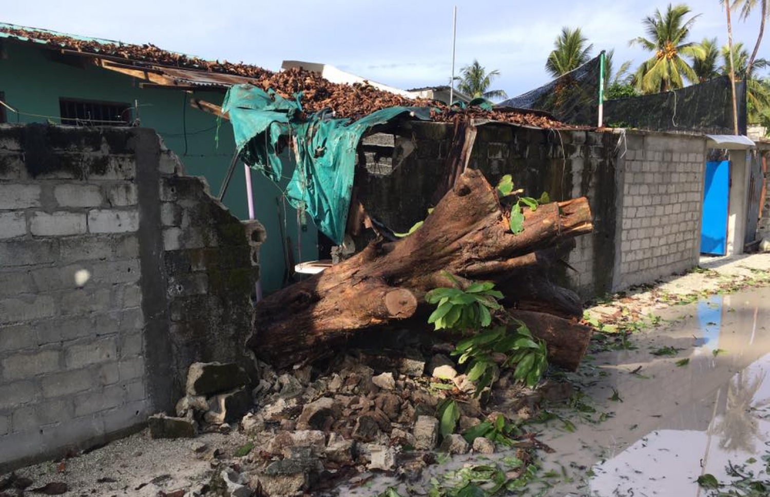 ހިތަދު އަށް ރޭ އެރި ނަގޫރޯޅީގައި ގެއެެއްގެ ގޯތި ތެރޭގައި ހުރި ގަހެއް ވެއްޓި ގެއްލުންވެފައި.