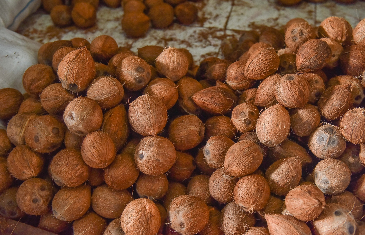 ލޯކަލް މާރުކޭޓުގެ ގޮޅިއެއްގައި ވިއްކަން ބަހައްޓާފައި ހުރި ކާށިތަކެއް: ރަށްރަށުގައި ކާށި ރުއްތައް މަދުވެ، ކާށީގެ އަގު ވަނީ ވަރަށް ބޮޑަށް އުފުލިފައި. ފޮޓޯ: ނިޝާން އަލީ /މިހާރު