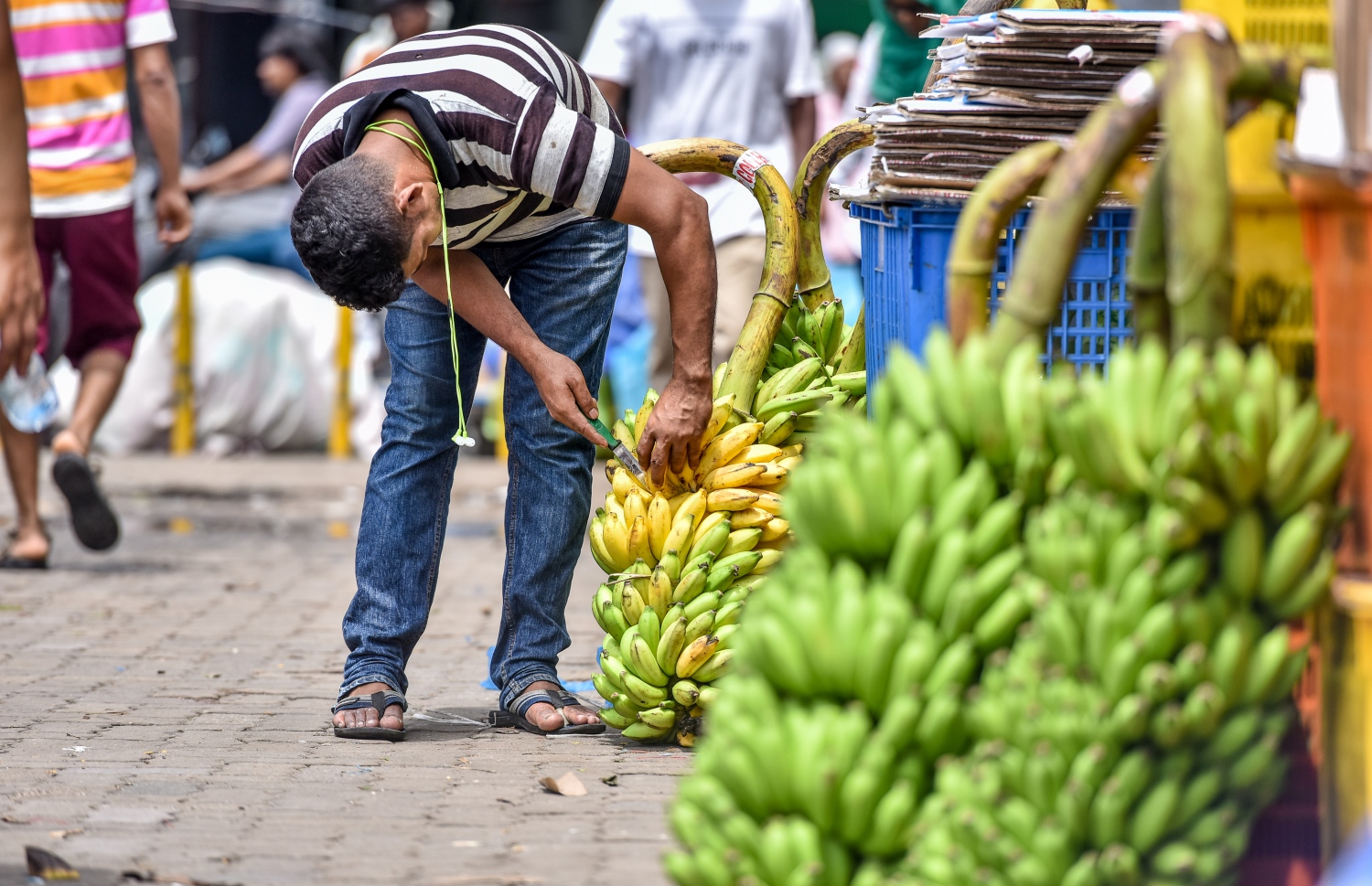 މާލެ: މޭ 22، 2017: ލޯކަލް މާރުކޭޓުގައި ވިއްކަން ބަހައްޓާފައި ހުރި ދޮންކެޔޮގަނޑެއް މީހަކު ބަލަނީ.-- ފޮޓޯ: ނިޝާން އަލީ /މިހާރު