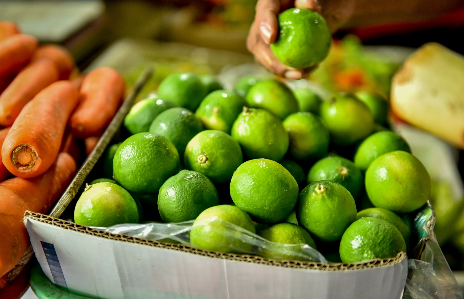 މާލެ: މޭ 22، 2017: ލޯކަލް މާރުކޭޓުގައި ވިއްކަން ބަހައްޓާފައި ހުރި ލުނބޯތަކެއް: ލުނބޯ ކިލޯއެއްގެ އަގު އުޅެނީ 35ރ. އާއި 45ރ. އާ ދެމެދު. ފޮޓޯ: ނިޝާން އަލީ /މިހާރު