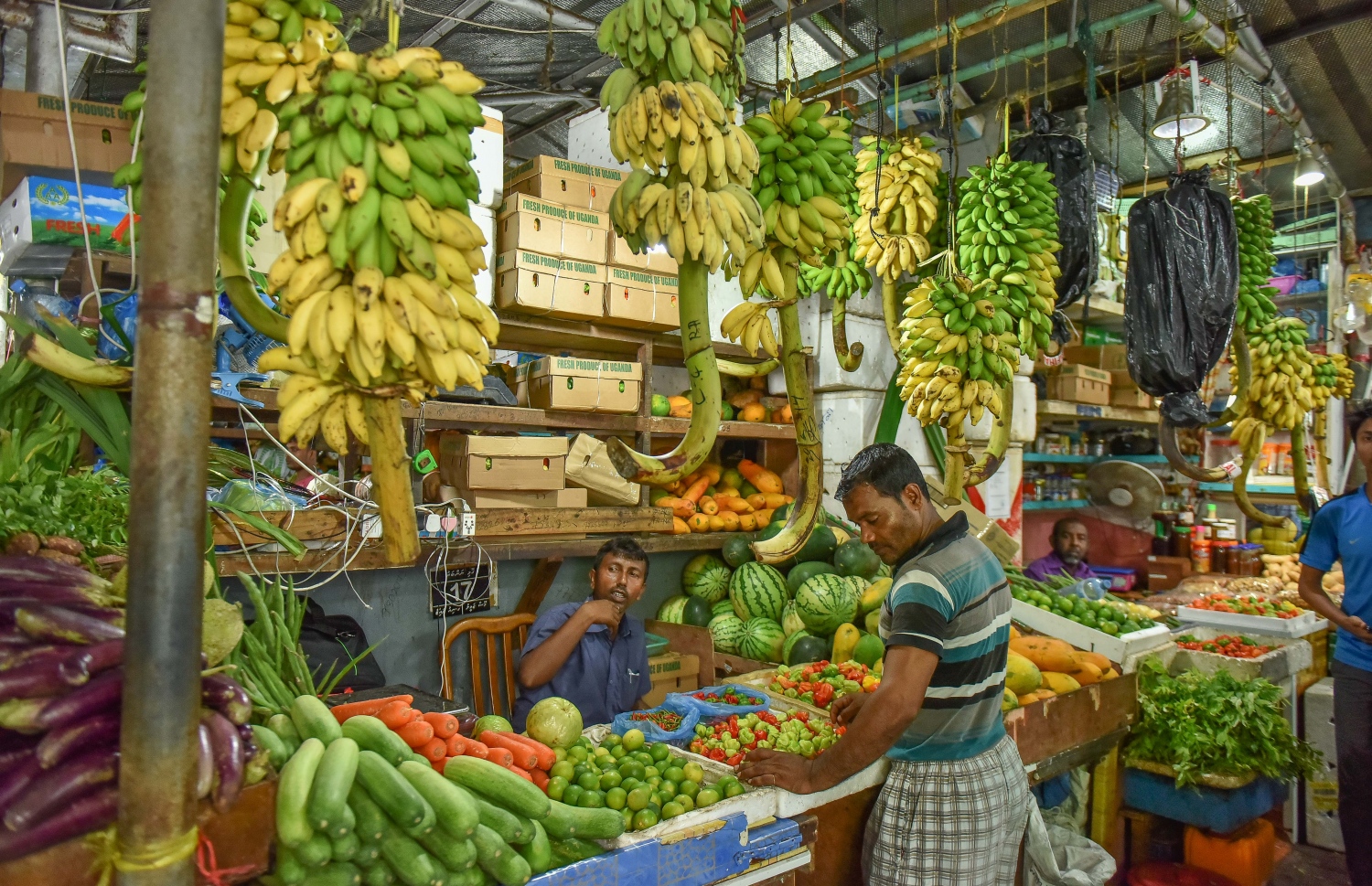 މާލެ: މޭ 22، 2017: ލޯކަލް މާރުކޭޓުގައި ވިއްކަން ބަހައްޓާފައި ހުރި ދޮންކެޔޮގަނޑުތަކެއް ކައިރީގައި މީހަކު މަޑުކޮށްލައިގެން: ދޮންކެޔޮގަނޑެއްގެ އަގު ވަނީ 600ރ. އަށް އުފުލިފައި. ފޮޓޯ: ނިޝާން އަލީ /މިހާރު