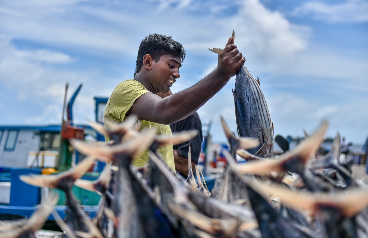 ލޯކަލް މާރުކޭޓު: ދިވެހި އުފެއްދުންތައް ތިޔާގިވެ، ބައެއް ބާވަތްތަކުގެ އަގު އުފުލުން