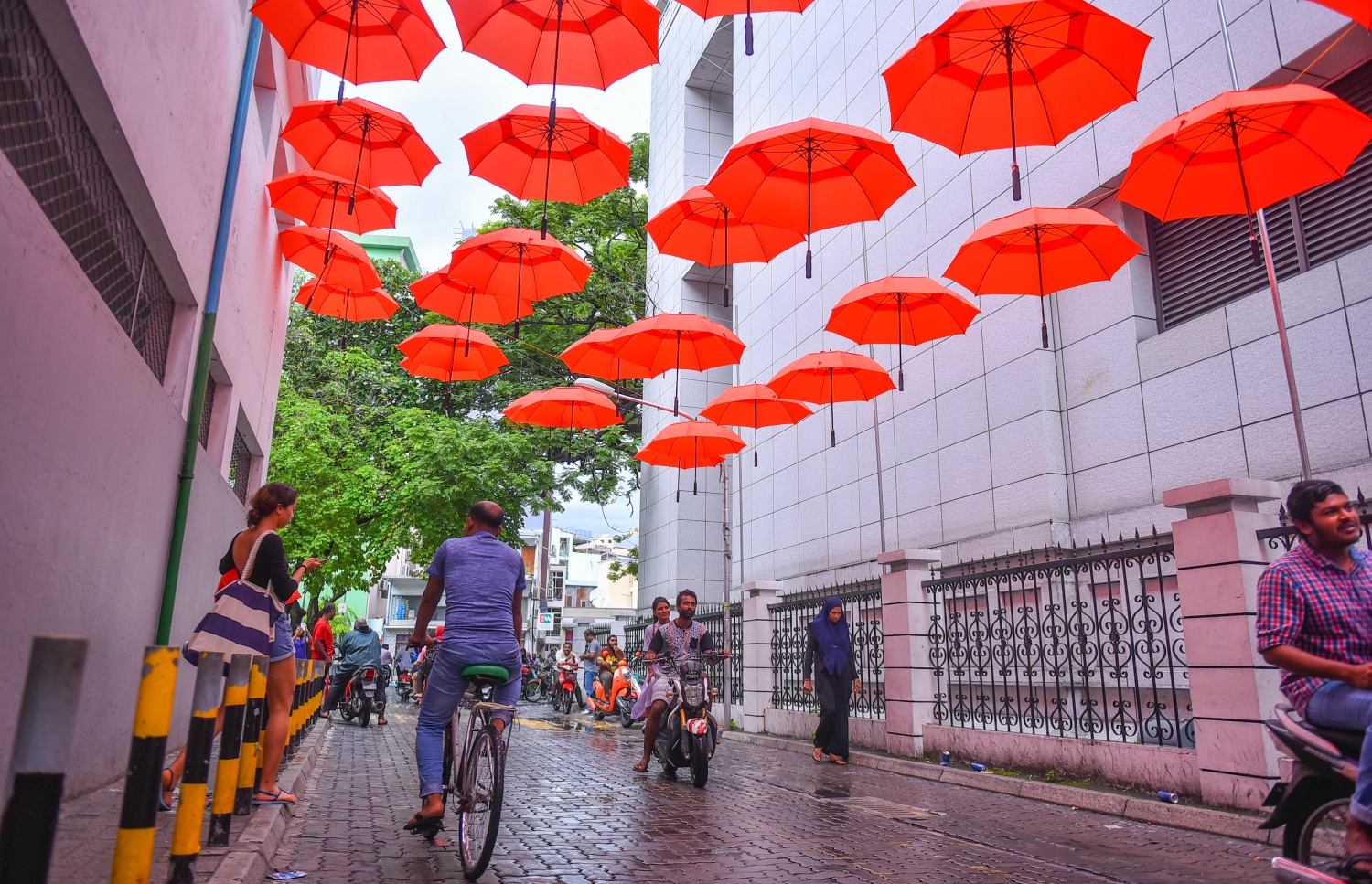 ލިލީ މަގުގައި އެލުވާފައި ހުރި އޮރެންޖު ކުޑަތަކެއް: މިއީ ކޮން ބަޔަކު ހަރުކޮށްފައި ހުރި ކުޑަތަކެއް ކަމެއް ނޭނގޭ-- ފޮޓޯ-- ހުސެން ވަހީދު/ މިހާރު