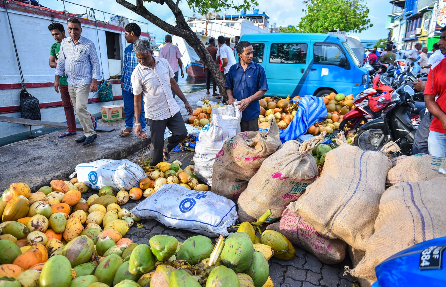 މާލެ: މޭ 26، 2017- ރަށަކުން މާލެ އަށް ބޭލި ކުރުނބާތަކެއް ލޯކަލް މާރުކޭޓަށް ގެންދިއުމަށް ތައްޔާރުކޮށްފައި.---މިހާރު ފޮޓޯ: ހުސެއިން ވަހީދު