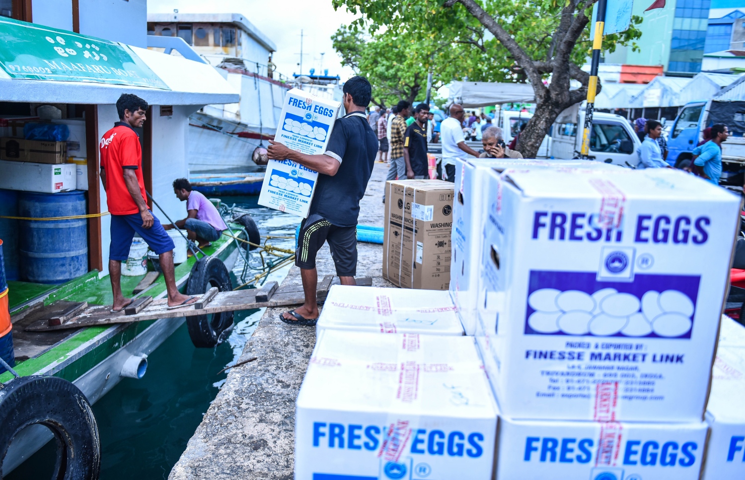 މާލެ: މޭ 26، 2017- ރަށަކަށް ގެންދިއުމަށްޓަކައި ބިސްކޭސްތަކެއް ބޯޓަކަށް އަރުވަނީ.---މިހާރު ފޮޓޯ: ހުސެއިން ވަހީދު