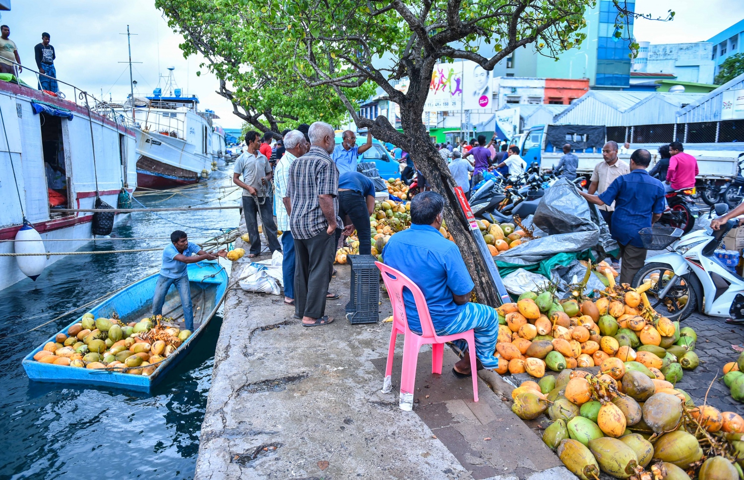 މާލެ: މޭ 26، 2017- ލޯކަލް މާރުކޭޓުގައި ވިއްކުމަށް ރަށަކުން ގެނައި ކުރުނބާތަކެއް ބާލަނީ: ރޯދަމަހުގައި މާރުކޭޓުގައި އެންމެ ތިޔާގި އެކައްޗަކީ ކުރުނބާ.---މިހާރު ފޮޓޯ: ހުސެއިން ވަހީދު