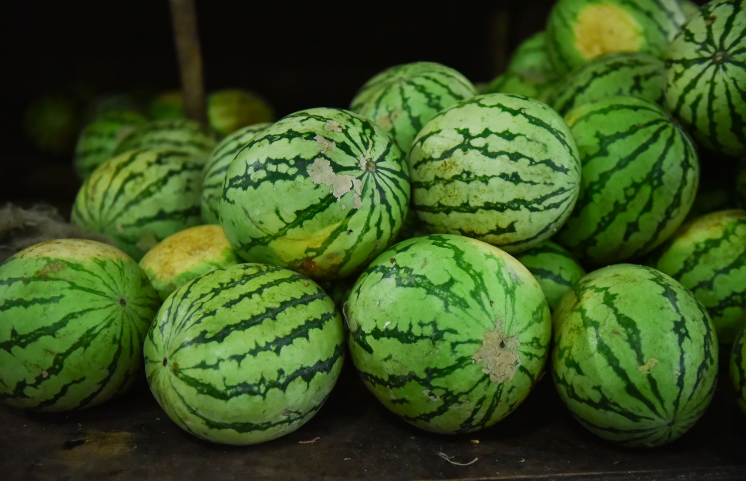 މާލެ: މޭ 26، 2017- ލޯކަލް މާރުކޭޓުގެ ގޮޅިއެއްގައި ވިއްކުމަށް ބަހައްޓާފައި ހުރި ކަރާ: މީގެ ހަފުތާއެއްހާ ދުވަސް ކުރިން 12-15ރ. އަށް ވިއްކި ކަރަލުގެ އަގު މިހާރު ވަނީ 18ރ. އަށް އުފުލިފައި.---މިހާރު ފޮޓޯ: ހުސެއިން ވަހީދު