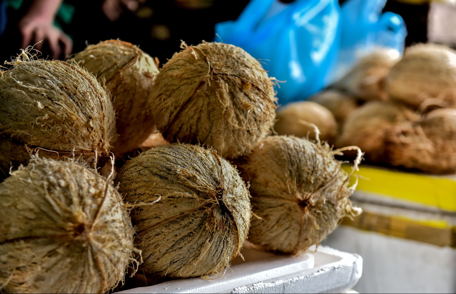 ލޯކަލް މާރުކޭޓުގައި ވިއްކަން ބަހައްޓާފައި ހުރި ކާށިތަކެއް: ކާށީގެ އަގު ވަނީ މިއިން ޒަމާނަކު ވެސް ނުއުފުލޭ މިންވަރަށް އުފުލިފައި. ފޮޓޯ: ނިޝާން އަލީ /މިހާރު